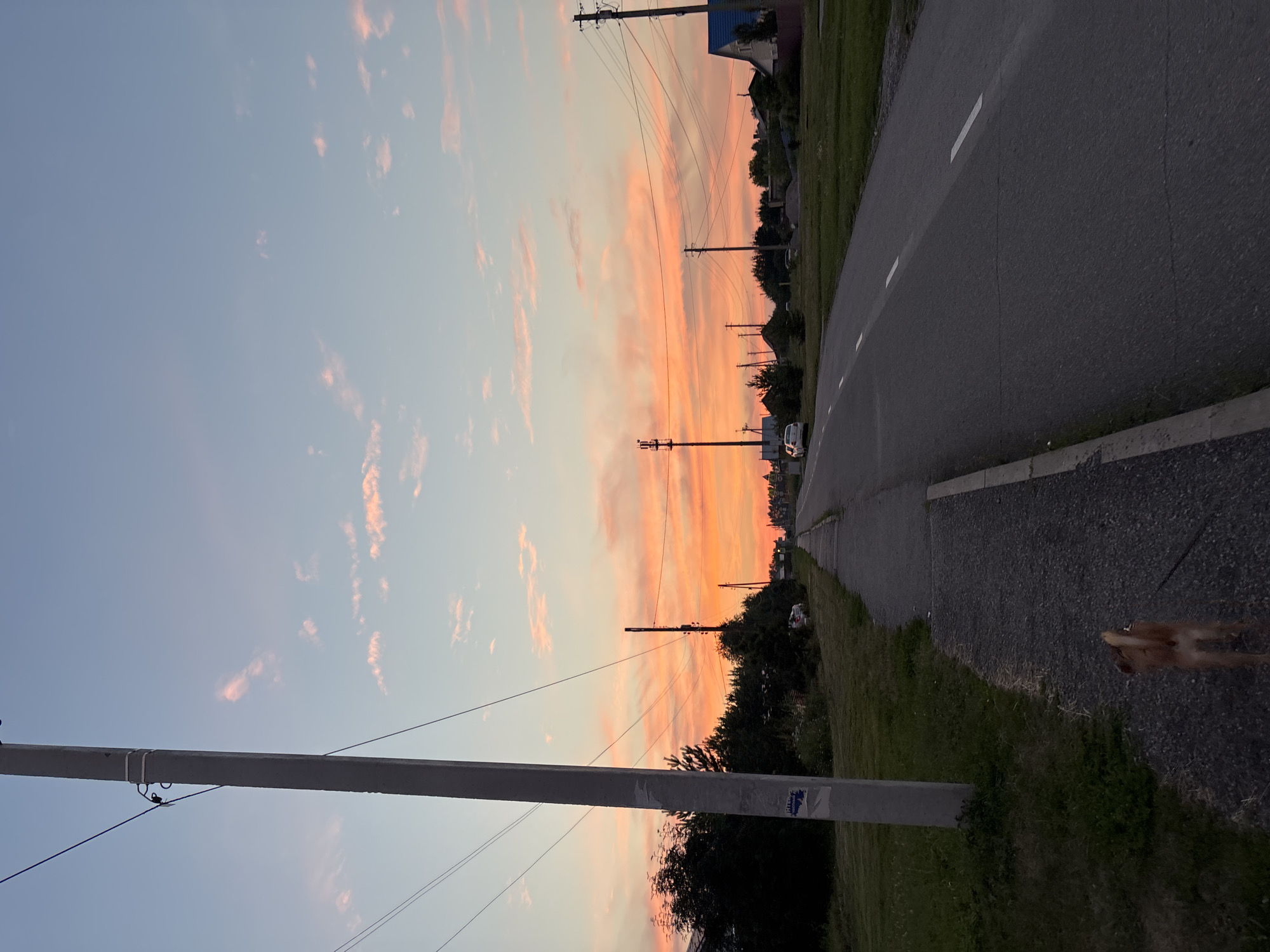 The image depicts a road in Vishnevka, Russia, during sunset. The sky is a vibrant gradient of blue, pink, and orange, with scattered clouds. A concrete utility pole stands on the left side of the road, with wires extending across the frame. A paved road with white lane markings runs into the distance, flanked by a gravel footpath on the left and grassy areas on both sides. Several trees and houses are visible along the roadside. In the foreground, a small brown dog is walking on a leash away from the camera on the gravel footpath. The overall scene suggests a quiet evening in a rural or semi-rural setting.
