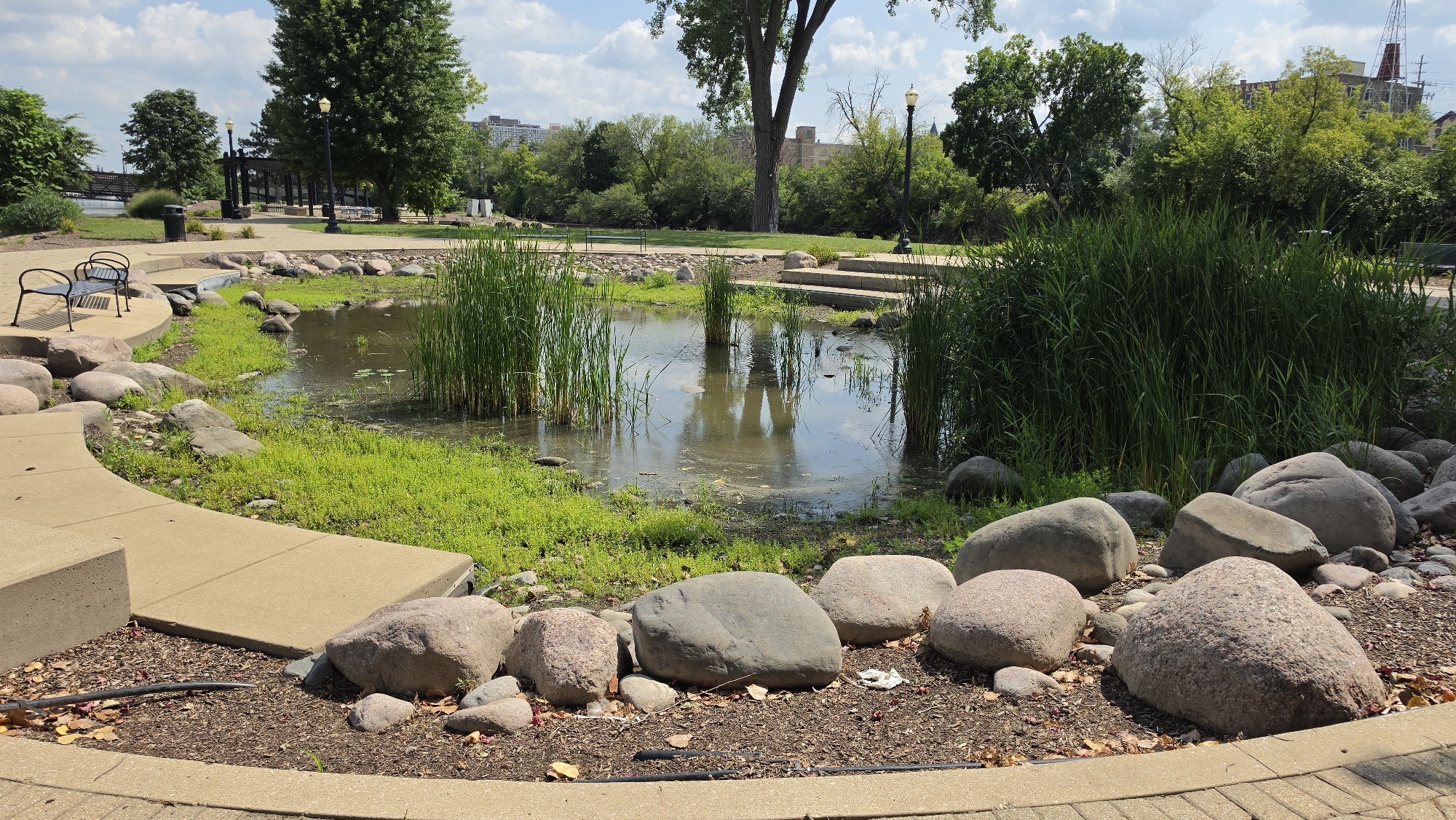 This image shows a pond in a park, located in Elgin, Illinois, USA. The pond has a shallow, murky bottom covered with green algae and reeds. Large rocks of various sizes surround the pond. In the foreground, a paved walkway curves around the pond, and a black metal bench is visible on the left. In the background, trees, lampposts, and buildings are seen. The sky is partly cloudy.