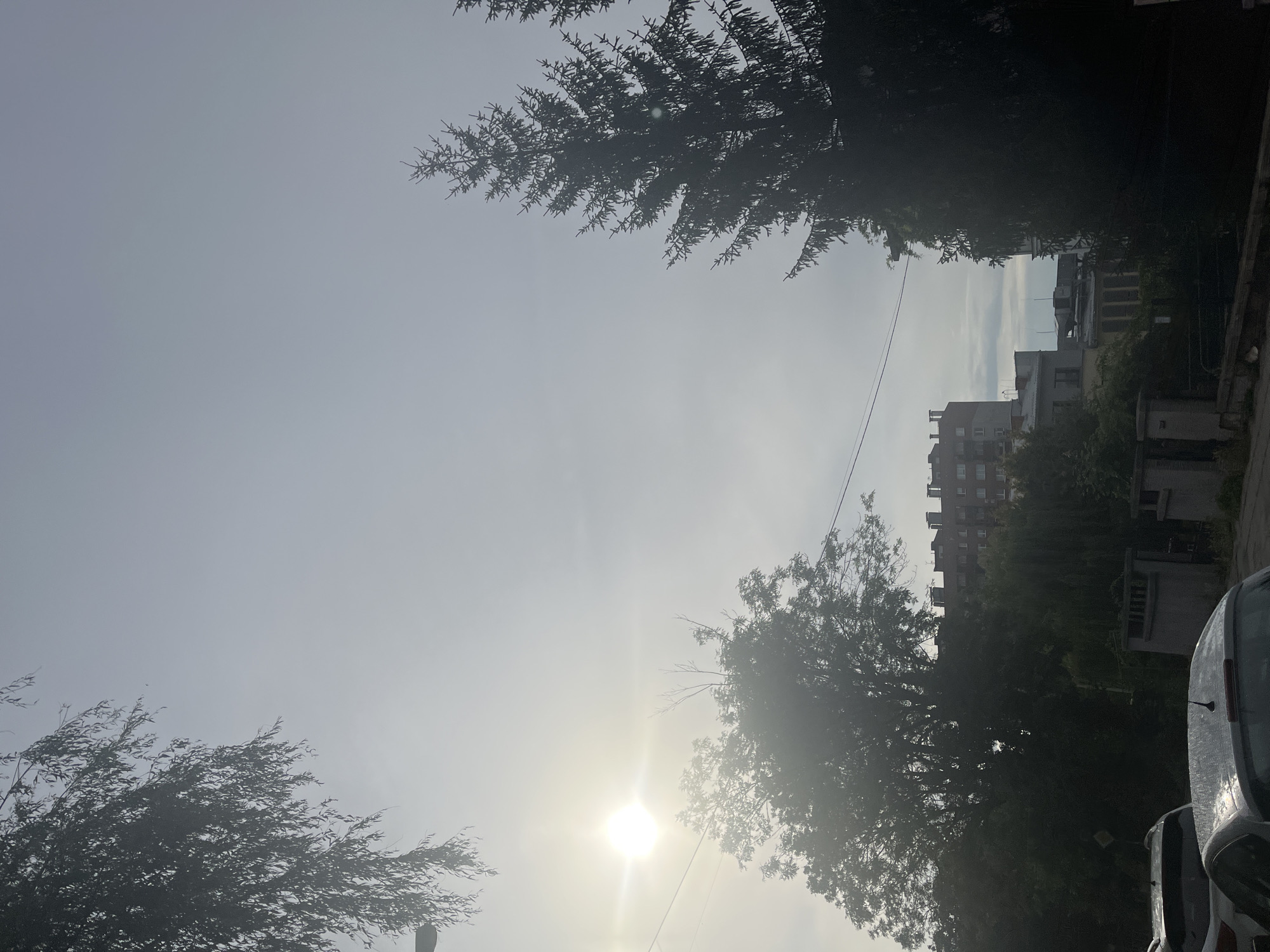 The media file captures an outdoor scene with a bright, hazy sky, suggesting a sunny but perhaps polluted or foggy day. Silhouetted against the sky are the dark, leafy branches of trees in the foreground and middle ground. These trees frame the view of buildings in the distance.
The buildings appear to be apartment blocks, with multiple windows visible on their facades. Some of the buildings are taller than others, creating a varied urban skyline. In the lower right corner of the frame, the rear of a light-colored vehicle is visible, with its roof and a portion of its side in view.
The sun is a prominent element in the image, appearing as a bright, washed-out orb in the upper left quadrant, casting a strong glare and contributing to the hazy atmosphere. The overall impression is of a city environment, viewed from ground level looking upwards and outwards. The time of day is likely daytime, given the sun's presence and brightness. No people are visible in the media file. There is no visible text in the image.