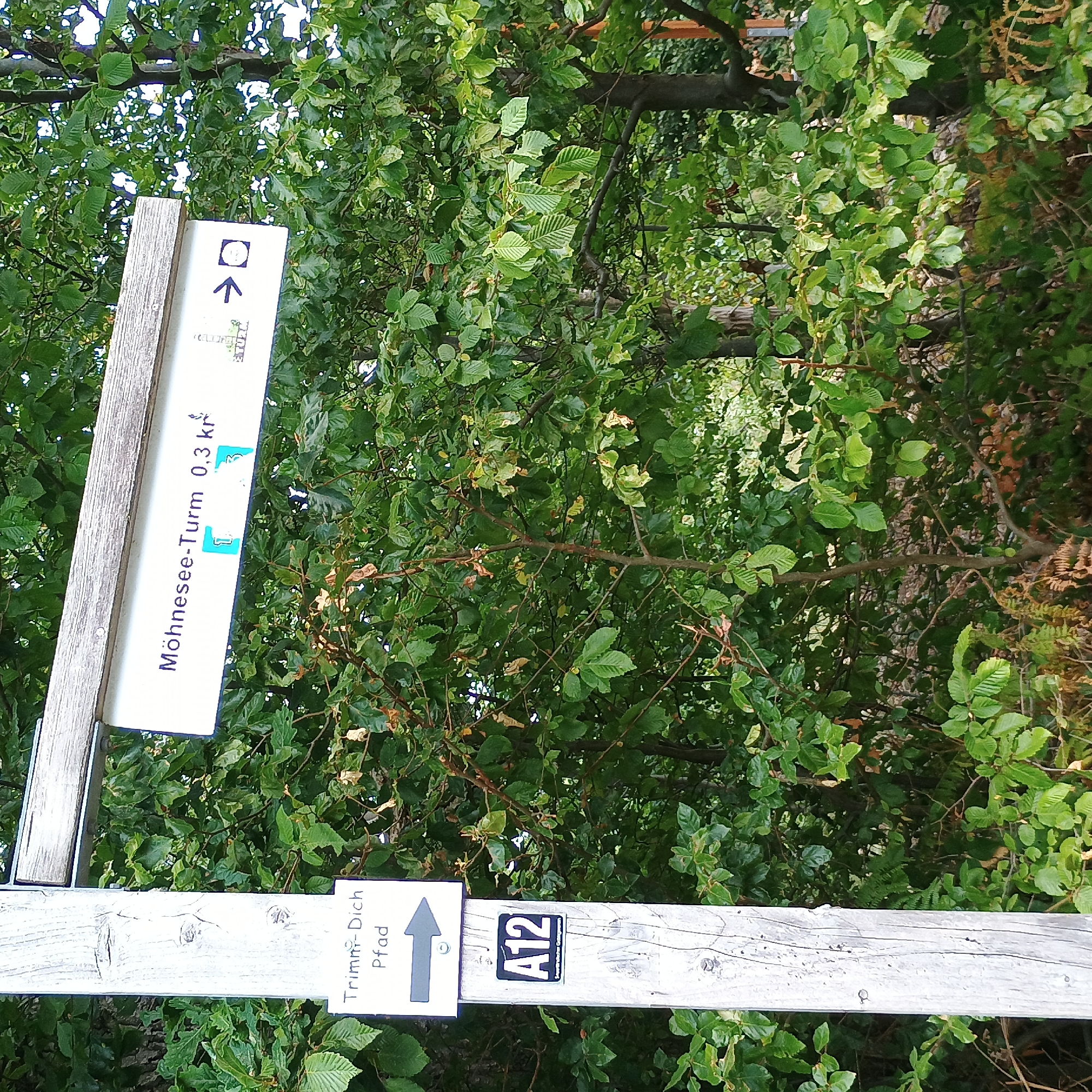 This image captures a signpost located in Möhnesee, Germany, set against a backdrop of lush green foliage. The signpost, made of weathered wood, has two directional signs attached. The upper sign, a white rectangular board, is tilted slightly and displays text in dark blue. It reads "Möhnese-Turm 0,3 kr" followed by a small graphic of a tower and an arrow pointing to the right. Below this, a smaller, square blue and white graphic is visible. The lower sign, also rectangular and white, is oriented horizontally. It features the text "Trimm-Dich Pfad" with an arrow pointing to the right. Further down the wooden post, a black and white square sticker with the text "A12" in bold white letters is affixed, along with smaller text below. The surrounding environment is dominated by dense green trees and undergrowth, suggesting a natural or park-like setting. No people or animals are visible in the frame. The lighting indicates it is daytime, with the sunlight filtering through the leaves.