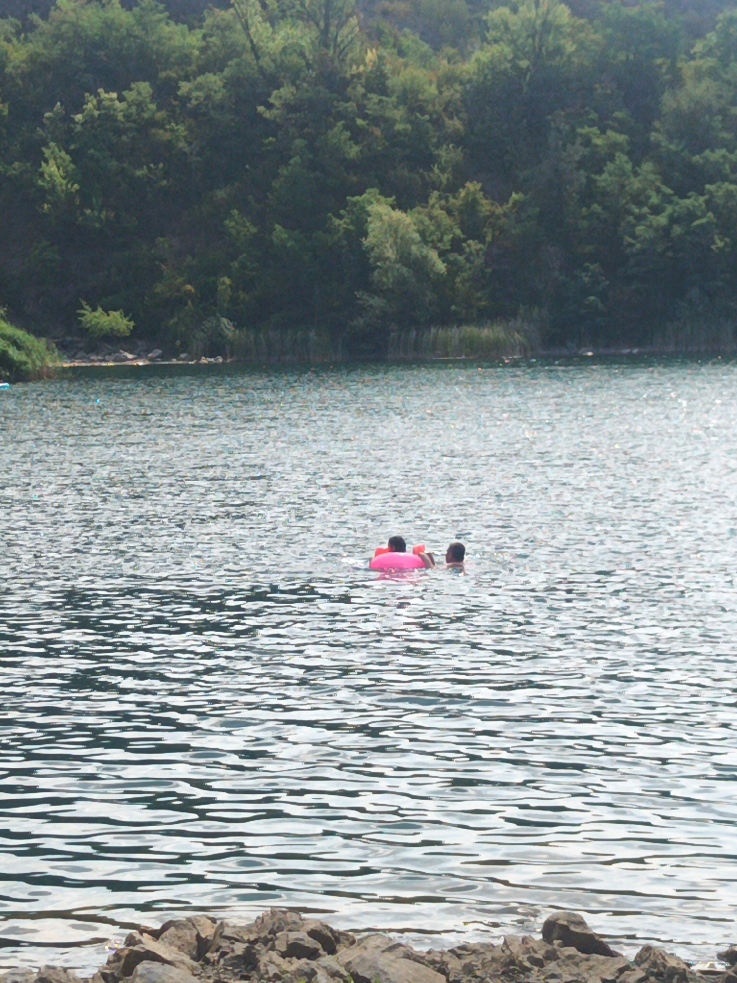 Two individuals are present in the water, one wearing a pink life vest. They appear to be swimming or floating in a body of water. The background consists of a dense, green forest. Rocks are visible in the foreground along the edge of the water. The image does not provide any specific information about the location in Uzhhorod, Ukraine.