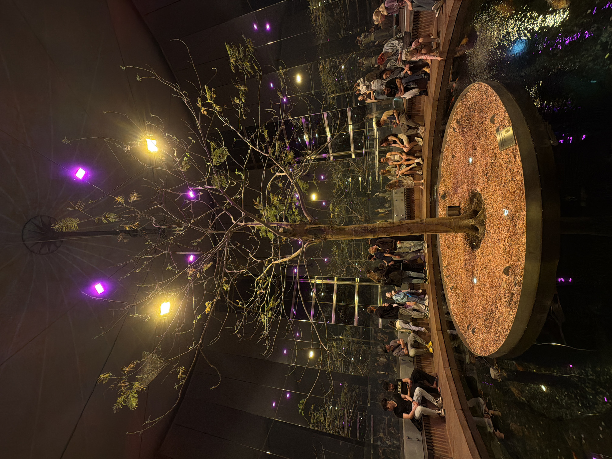 Captured from an elevated perspective within a contemporary setting in Krasnodar, Russia, the image features an indoor architectural display. A skeletal tree, adorned with purple and yellow lights, anchors the scene. Surrounding the tree's base is a circular structure filled with brown gravel, encircled by water, and framed by a dark, polished surface that creates a mirror-like effect. Individuals sit, stand, and observe along the perimeter, their reflections mirrored on the walls. The lighting conditions suggest either dusk or nighttime.