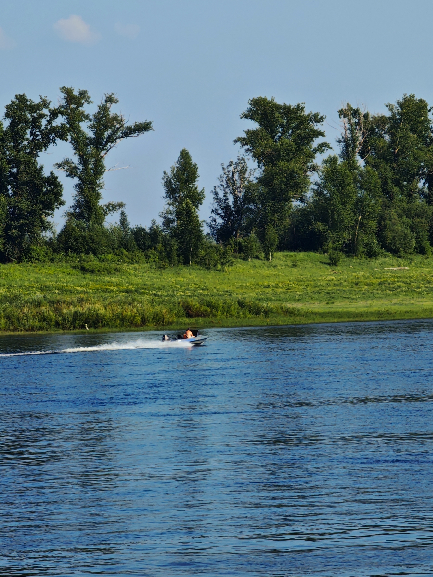 In this vertical, eye-level shot, a person is riding in a small motorboat on a bright blue river. The boat is moving quickly, creating a white wake behind it. The person, wearing an orange shirt, is seated in the boat and appears to be controlling its direction. The water is calm with gentle ripples, reflecting the clear blue sky.
The background features a lush, green shoreline with a dense line of trees. The trees are tall and leafy, with some visible branches extending towards the sky. The vegetation along the riverbank is vibrant and appears to be a mix of grass and smaller bushes. In the distance, a single white bird, possibly a heron, stands on the grassy bank near the water's edge.
The scene suggests a pleasant, sunny day, likely during the warmer months. The clear sky and the activity on the water indicate fair weather. The overall impression is one of peaceful recreation in a natural, riverside setting. The location context of Verkhnepashino, Russia, places this scene in a region known for its natural beauty and waterways. There is no visible text in the image.