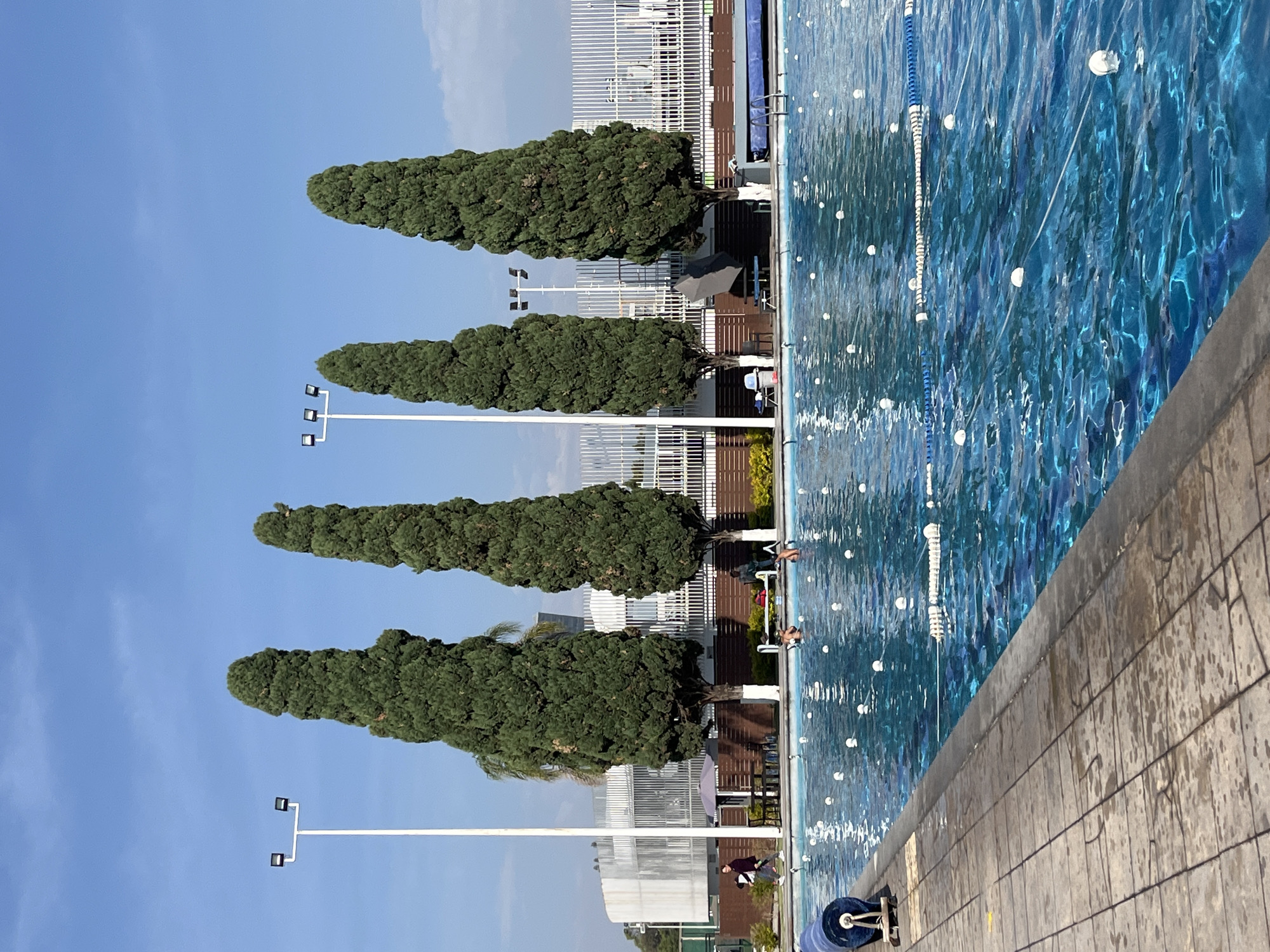 An outdoor swimming pool scene is captured under a bright, clear blue sky. The swimming pool, filled with vibrant blue water showing ripples and reflections, occupies the right side of the frame, extending from the middle to the right edge. White and blue lane lines with buoyant floats are visible across the pool's surface. In the foreground, a textured, light-colored paved area, possibly concrete, runs along the edge of the pool. A blue cylindrical object, possibly a pool cleaner or cover roller, is located on this paved area in the bottom left.
Along the far side of the pool, four tall, dark green coniferous trees, possibly cypress, stand in a line. Behind these trees, modern buildings with white vertical slatted screens or fences are visible, suggesting an architectural complex or sports facility. Two tall white poles, each equipped with multiple dark rectangular floodlights, are positioned among the trees, indicating the area is lit for nighttime use.
Several people are present in the scene. At least one individual is partially submerged in the pool, and others are visible seated or standing by the poolside or further back near the buildings. A dark umbrella and some pool furniture are partially visible behind the trees. The bright sunlight and clear sky indicate it is daytime. There is no visible text in the image.