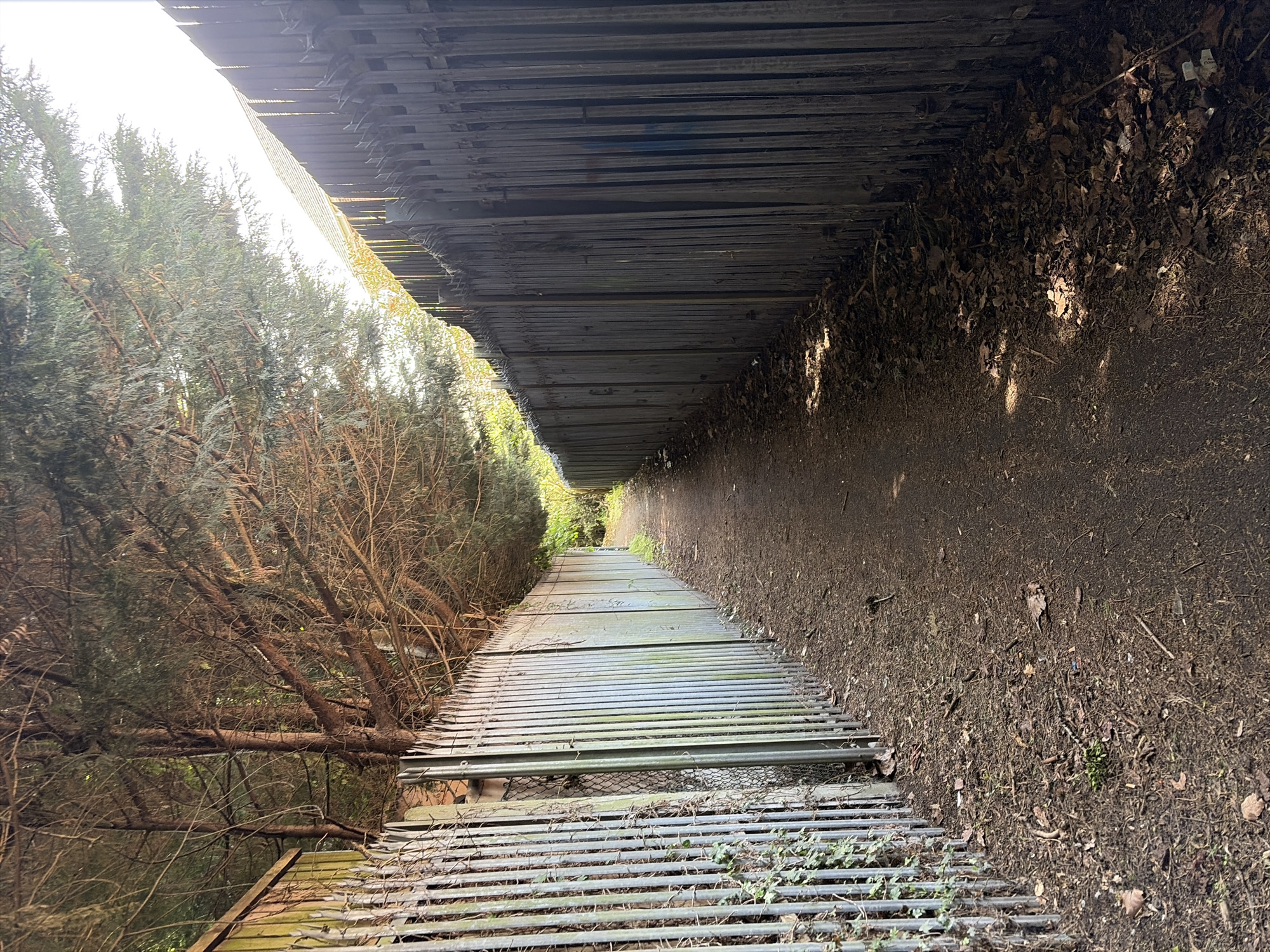 The image depicts a narrow, straight path constructed of metal grating leading into the distance. The path is flanked on the left by evergreen trees and on the right by a dirt embankment covered in fallen leaves and debris. A dark, corrugated metal structure overhangs the path, casting a shadow on the right side. The image appears to be taken from a low angle. The location is most likely in Salford, United Kingdom.