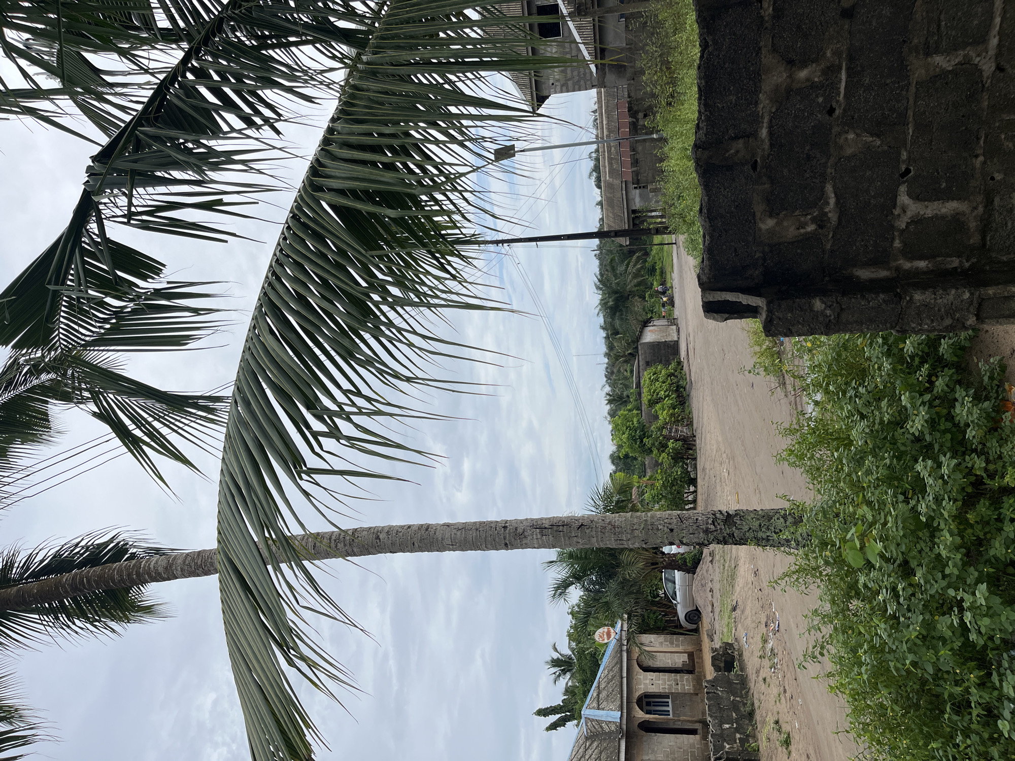The image depicts a view of a rural or semi-urban area in Badagry, Nigeria, characterized by unpaved roads, modest buildings, and abundant vegetation. In the foreground, a large, rough-textured palm tree trunk is prominent, with its fronds partially obscuring the sky and the scene beyond. To the left, a single-story building constructed with concrete blocks is visible, featuring arched windows. A silver car is parked in front of this building. The environment is lush with greenery, including dense bushes and other palm trees in the midground and background. Several other structures, some appearing unfinished or under construction, are scattered throughout the scene, including one with a corrugated metal roof and another with a grey roof. A street light is positioned near the center-right of the image. The sky is overcast with clouds. In the distance, a few people are walking on the dirt road. The overall impression is of a developing, tropical settlement.