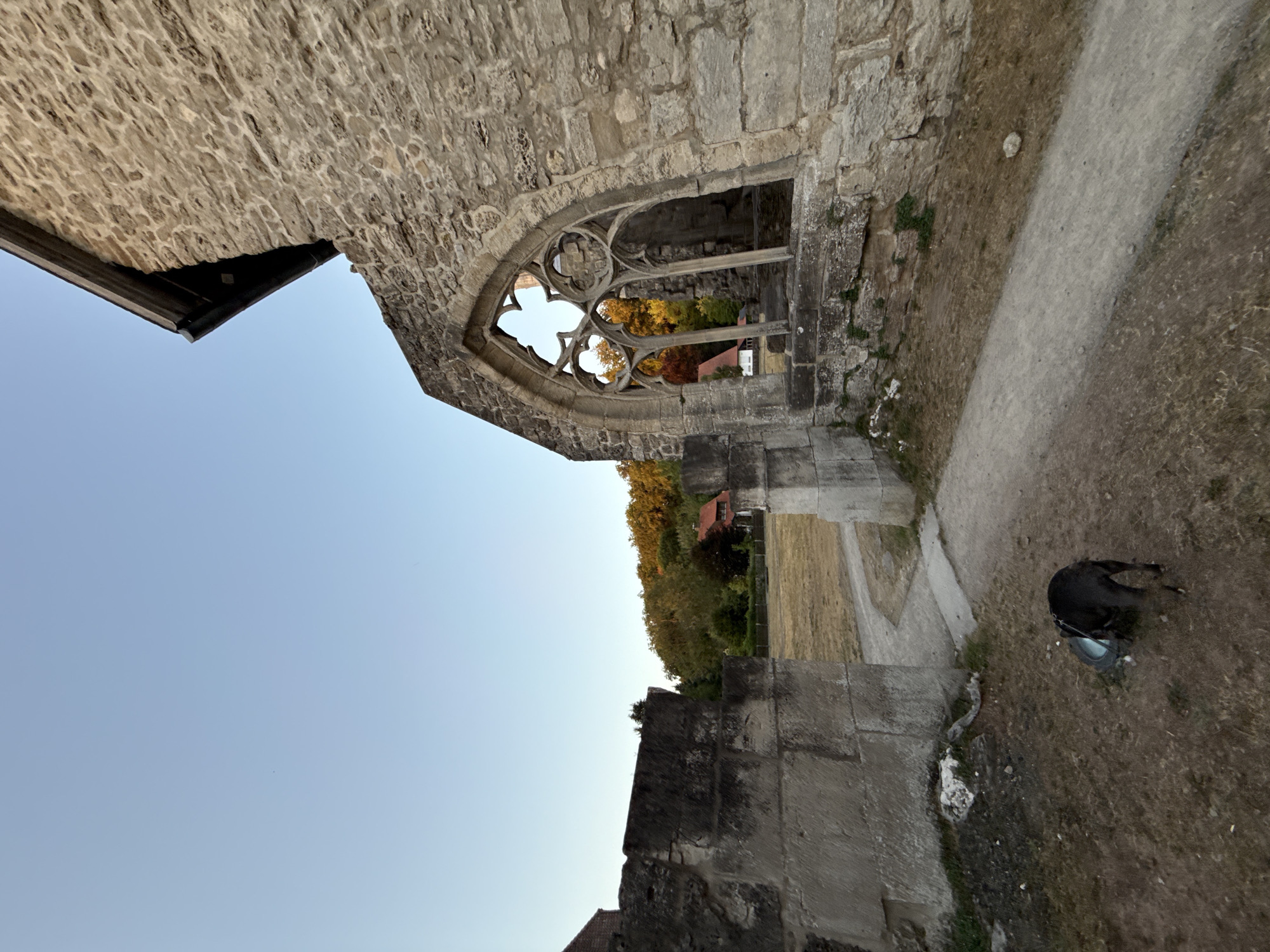 A wide-angle, low-angle shot captures the ruins of a stone building, likely part of the Walkenried Abbey complex, in Walkenried, Germany. The sky is clear and a light blue. To the right, a large stone wall forms part of a ruined gothic-style window frame, with intricate stone tracery visible. The wall is constructed of rough-hewn, light-colored stones. To the left, a section of a darker, more modern-looking stone wall stands in front of the ruins, with a gap revealing a path and a dry, grassy field beyond. In the middle ground, a dirt path winds through the field. In the background, a wooded area with trees displaying autumn colors is visible, with a few houses nestled among them. A dark-colored dog is present in the foreground on the left, facing away from the camera and appearing to drink from a shallow dish placed on the ground.