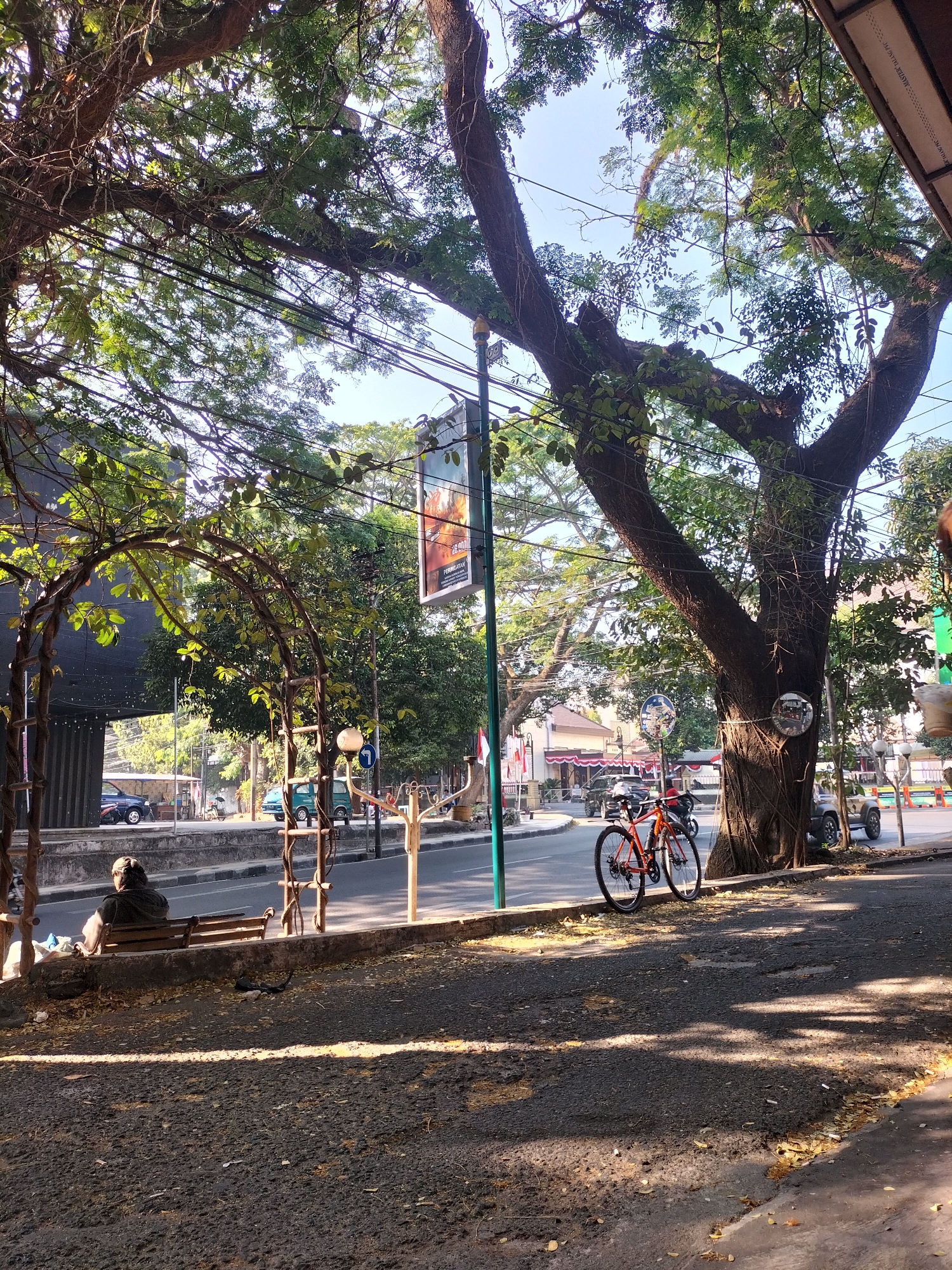 This is a street-level photograph taken in Malang, Indonesia, likely on a sunny day judging by the shadows. The foreground features a dark, asphalt-like surface with scattered dry leaves and dappled sunlight. To the left, a person sits facing away from the camera on a wooden bench under a trellised archway covered in foliage.
Dominating the mid-ground is a large tree with a thick, gnarled trunk, its branches spreading widely and casting shadows. Two bicycles, one orange and one black, are parked near the base of this tree, leaning against the curb.
Across the street, there is a road with light traffic, including a blue minivan and a dark-colored car. Buildings line the far side of the street, some with awnings and what appear to be shops. Overhead, a tangle of electrical wires crisscrosses the sky, a common sight in urban Indonesian settings. A poster or sign is visible hanging from a pole. The overall impression is a bustling, yet somewhat shaded, urban scene typical of a hot climate.