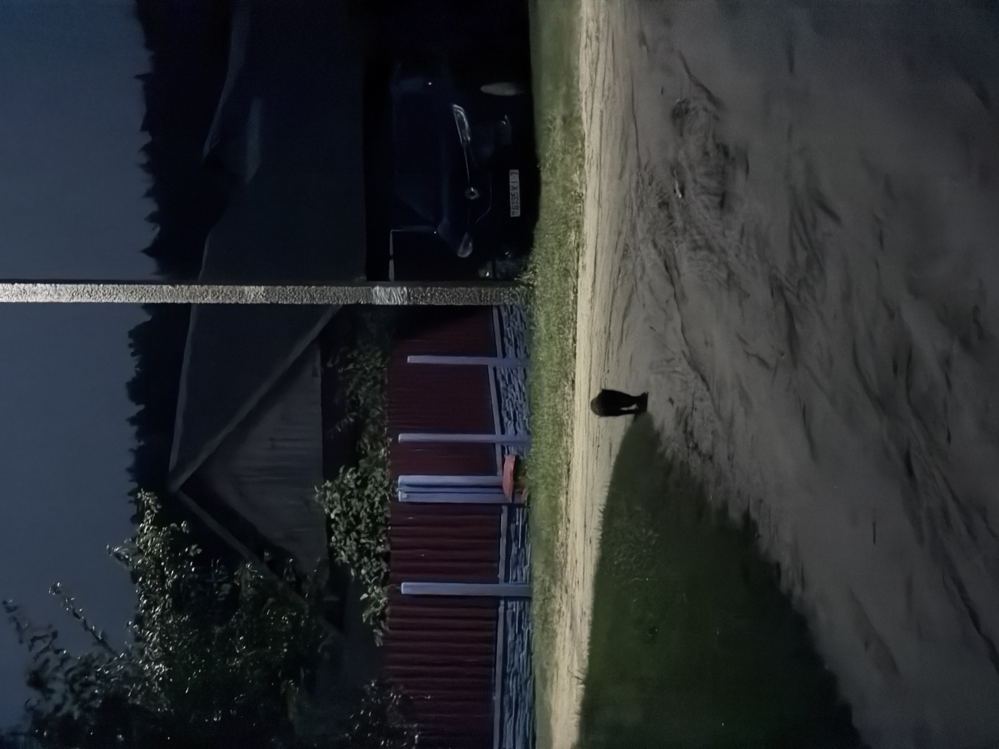 A black cat is walking on a dirt road at night in front of a dark-colored car parked next to a house. A red fence with blue posts is visible behind the cat. The car's license plate is partially visible, showing the number "76135". The scene appears to be in a rural or suburban area of Чэрвеньскі сельскі Савет, Belarus.