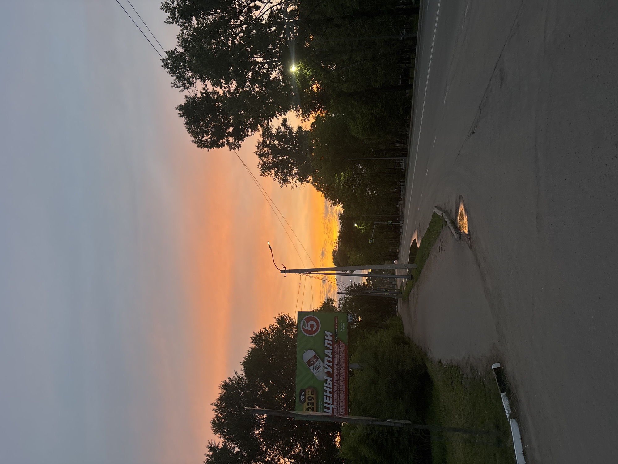 The image depicts an outdoor scene at dusk or dawn, with a vibrant sky transitioning from an orange and yellow glow on the right to a softer grey-blue on the left. The perspective is from ground level, looking down a road that curves slightly to the right.
On the right side of the frame, there's an asphalt road with a white broken line marking its edge. A curb separates the road from a narrow strip of grass and a sidewalk. Several small, reflective puddles on the road and sidewalk reflect the warm colors of the sky and the glow from distant streetlights.
A dense line of trees with dark green foliage runs along the left side of the road, obscuring the horizon. Their silhouettes are prominent against the bright sky. Several streetlights are visible; one pole with a lit lamp stands prominently in the mid-ground, and others can be seen further down the road, glowing faintly through the tree cover. Power lines stretch across the upper part of the sky.
A large billboard is visible on the left side, partially obscured by trees. It features a red circular logo with the number "5" inside (likely "Pyaterochka", a Russian supermarket chain). The primary text on the billboard, written in red, reads "ЦЕНЫ УПАЛИ" (Prices have dropped). Below this, there's an image of a white bottle, possibly a product called "АКТИГЕЛЬ" (Actigel), with a price of "239₽" (239 rubles) and a "31%" discount indicated. Other smaller text is present but illegible. The setting appears to be a suburban or urban street.