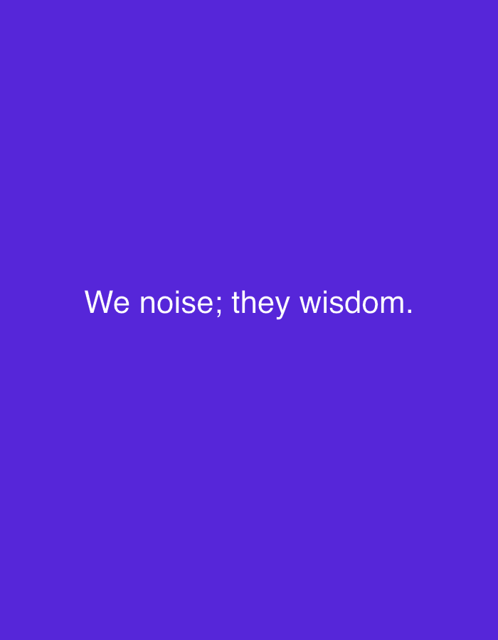 The image is a plain, solid purple background with white text centered on it. The text reads: "We noise; they wisdom." There are no people, objects, or environmental details present in the image. It does not depict any location in the city of Smyadovo, Bulgaria.