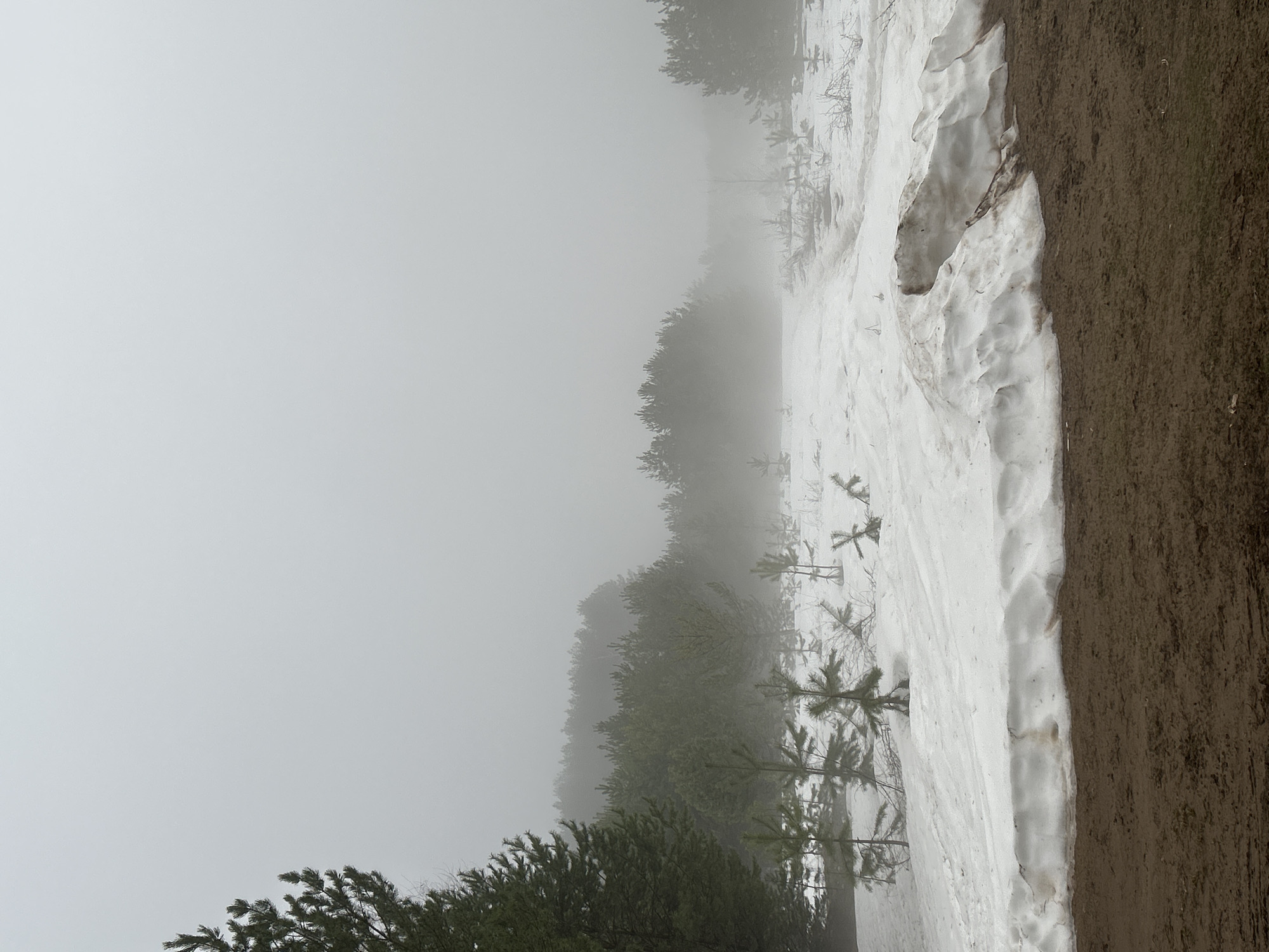 The image shows a landscape in foggy conditions. There is a line of trees partially obscured by fog on the left side of the image. To the right of the trees, there is a snow-covered area, and further to the right, there is a patch of dark brown soil. This is likely a scene in a forested area during late winter or early spring. No people, subjects, objects, actions, or interactions can be discerned. It is unclear if this image location is in the city of Chaikovsky, Russia.