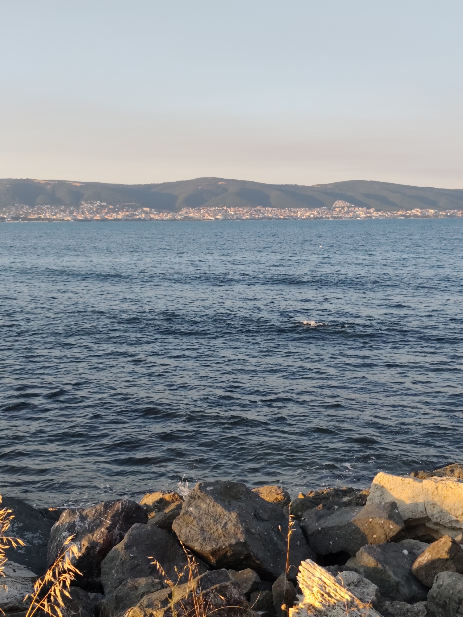 This is a vertical, eye-level shot of the sea, a rocky shoreline, and a distant coastal town nestled at the foot of rolling hills under a clear sky. The foreground is dominated by large, dark grey rocks that form a breakwater, with some lighter-colored rocks interspersed. Dry, golden-brown grass blades are scattered among the rocks, catching the warm light. The sea is a deep, rich blue with gentle waves and white foam crashing against the rocks. In the middle ground, the water stretches out to the horizon. In the background, a town with numerous buildings, primarily with red-tiled roofs, is visible along the coastline, partially obscured by the shadows of the green, tree-covered hills that rise behind it. The sky above is a pale, gradient blue, lighter near the horizon and darkening towards the top. The scene appears to be captured during the late afternoon or early evening, given the warm, golden light illuminating the rocks and grass. The town in the background is Nesebar, Bulgaria, a historic city situated on a peninsula.