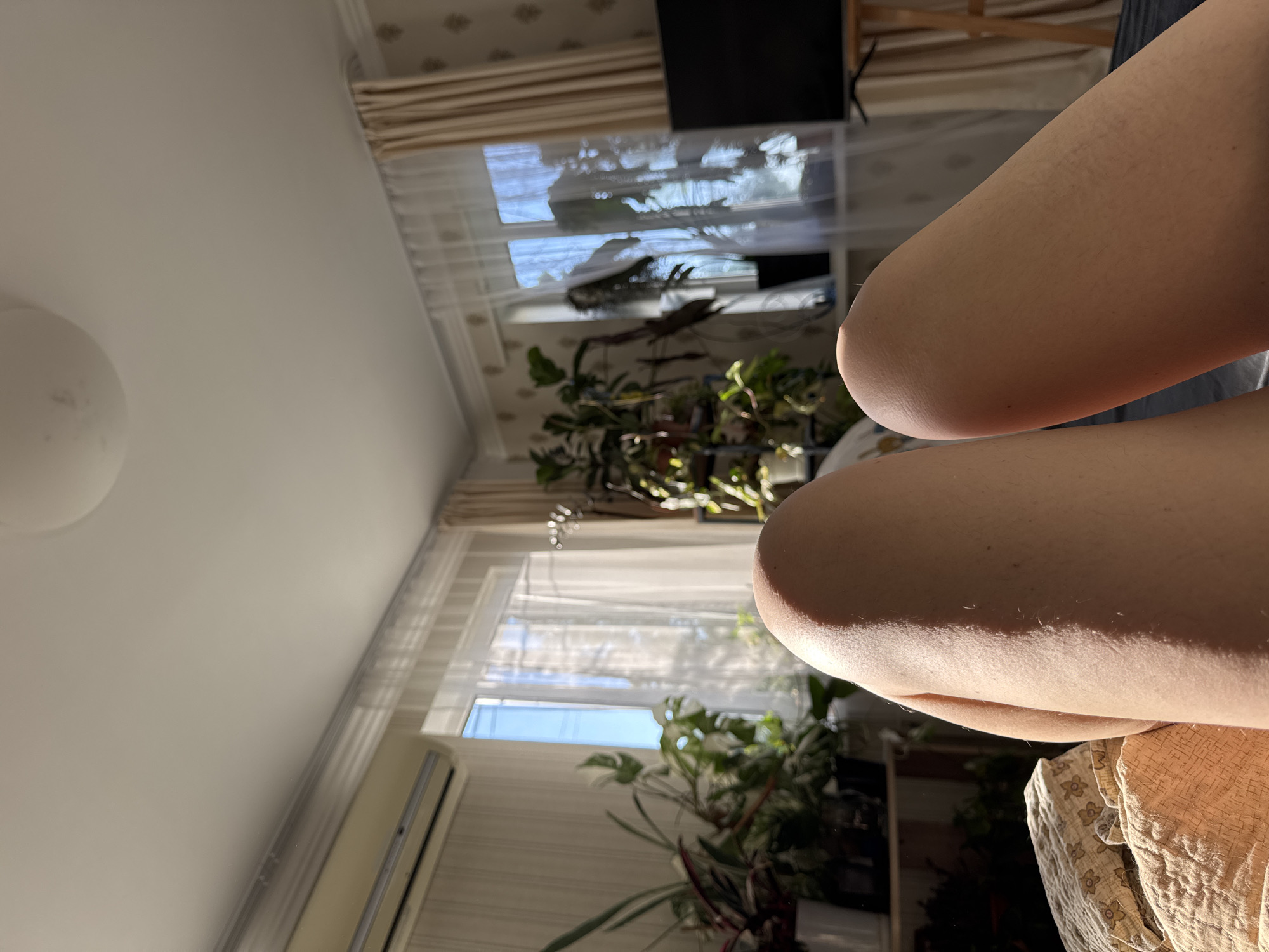 The image depicts a close-up of a person's legs, with the camera angled upwards. The legs are resting on fabric, possibly a bed or sofa, which is patterned with floral motifs. In the background, a room is visible, characterized by the presence of houseplants, sheer curtains covering windows, and an air conditioning unit mounted on the wall. Sunlight streams into the room, illuminating the scene and casting shadows. A television set is visible on a stand to the right. The overall setting suggests an indoor residential environment. There is no information available to connect this image to Zassovskaya, Russia.