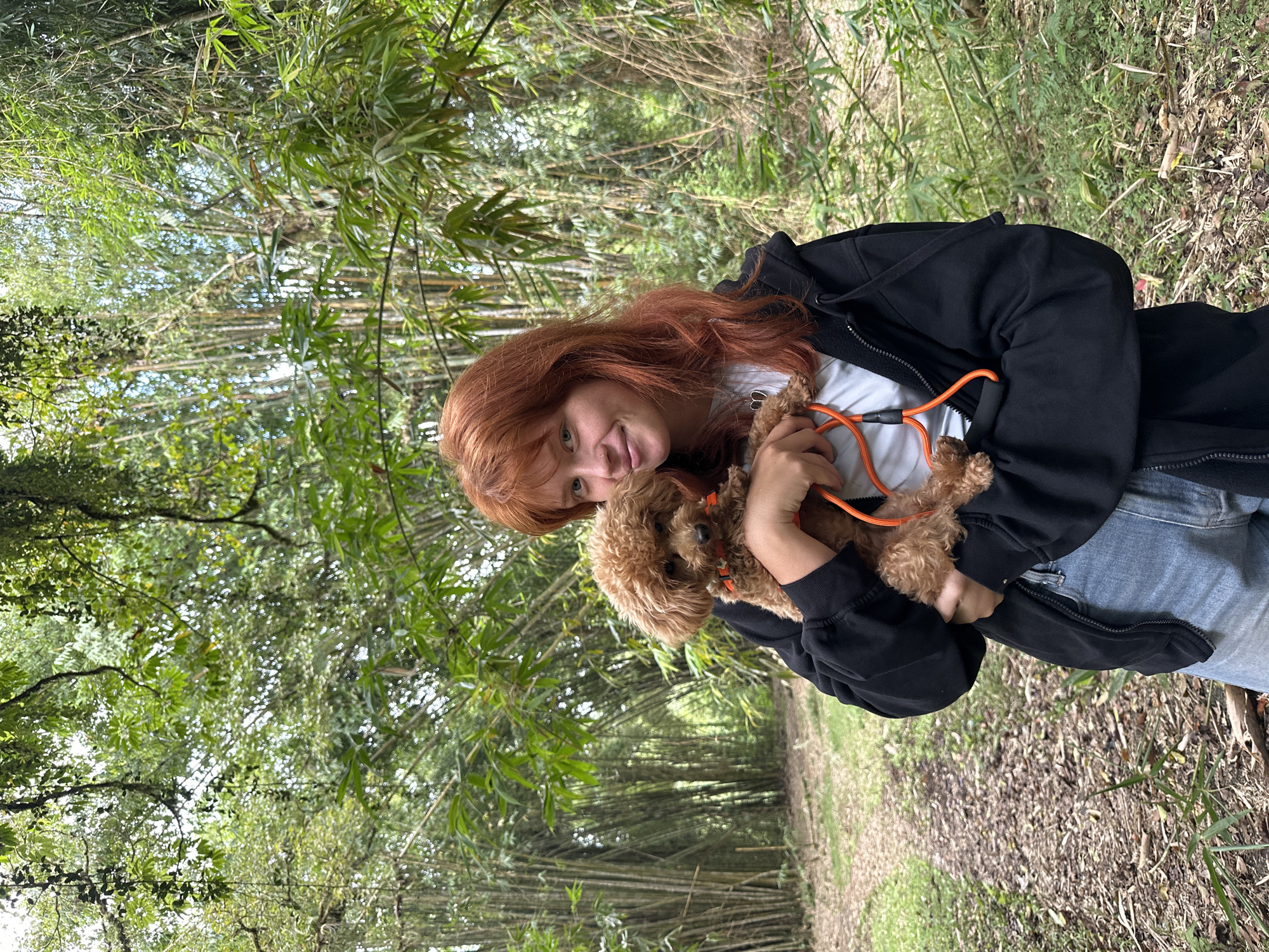 A portrait-oriented photograph features a young woman holding her small dog in a dense bamboo forest. The woman, with long reddish-brown hair, looks directly at the camera with a warm smile. She is dressed in a black hooded jacket over a light-colored top and blue jeans. Cradled in her arms is a fluffy, light brown dog, possibly a poodle, wearing an orange collar with a matching leash visible around its neck.
The setting is an outdoor, natural environment, likely a forest or park, characterized by numerous tall, slender bamboo trees forming a lush green backdrop. Other green foliage is also visible, contributing to the vibrant, natural atmosphere. A dirt path covered with leaves recedes into the background, suggesting a walking trail. The lighting indicates it is daytime, with soft, natural light filtering through the trees, creating a pleasant and serene ambiance. The woman's expression conveys happiness and affection for her pet, hinting at a joyful outing. The dog appears calm and comfortable in her embrace. This scene aligns with the provided location context of Baturiti, Indonesia, where such bamboo groves are common. There is no visible text in the image.