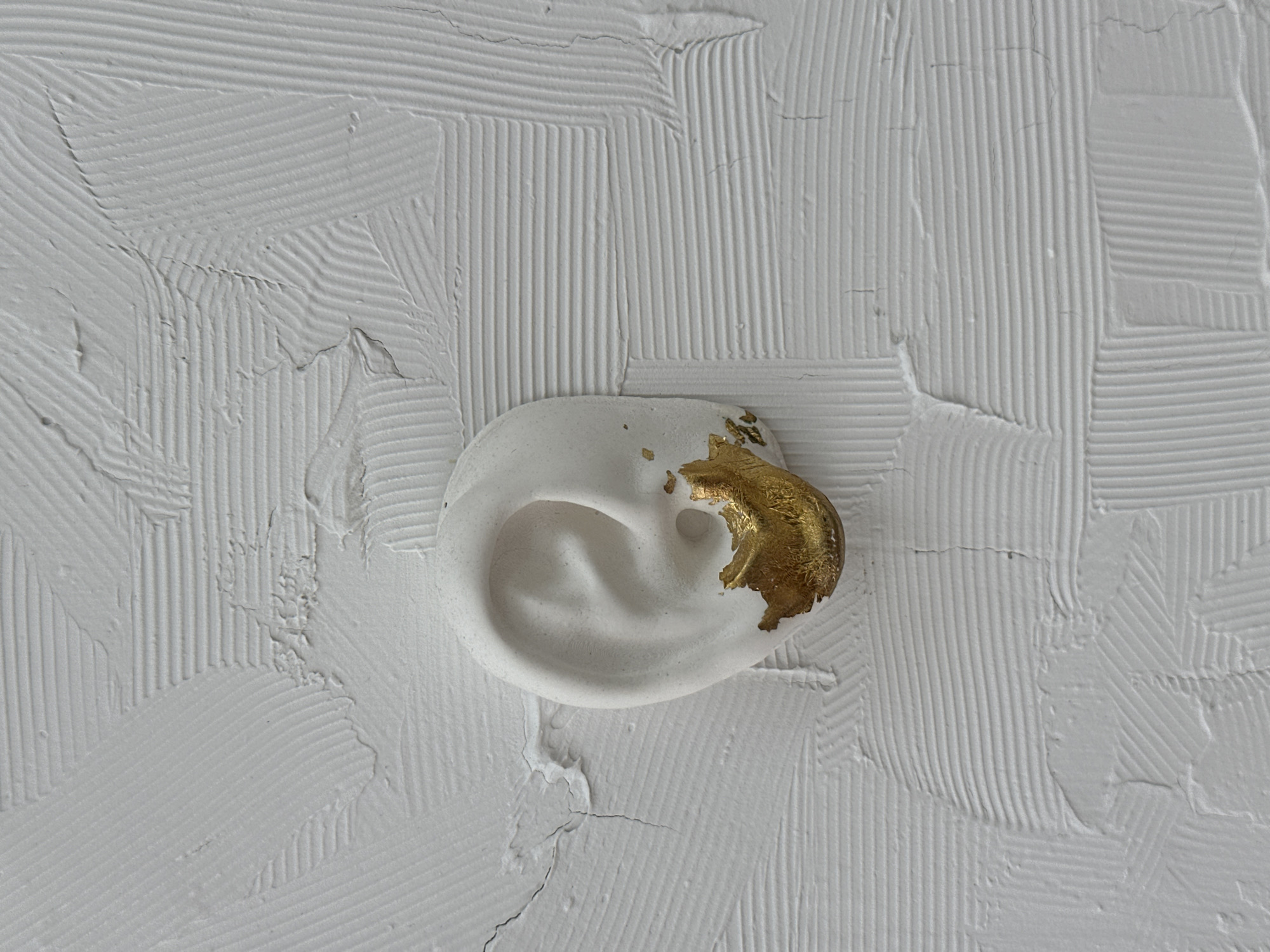 A close-up shot depicts a white, ear-shaped sculpture, partially gilded with gold, adhered to a textured white wall. The wall's surface is characterized by horizontal and vertical striated patterns, interspersed with areas of more haphazard application, resembling trowel marks. A fine network of cracks is visible on both the sculpture and the surrounding wall. There is no evidence to support the location of this object in Sochi, Russia.