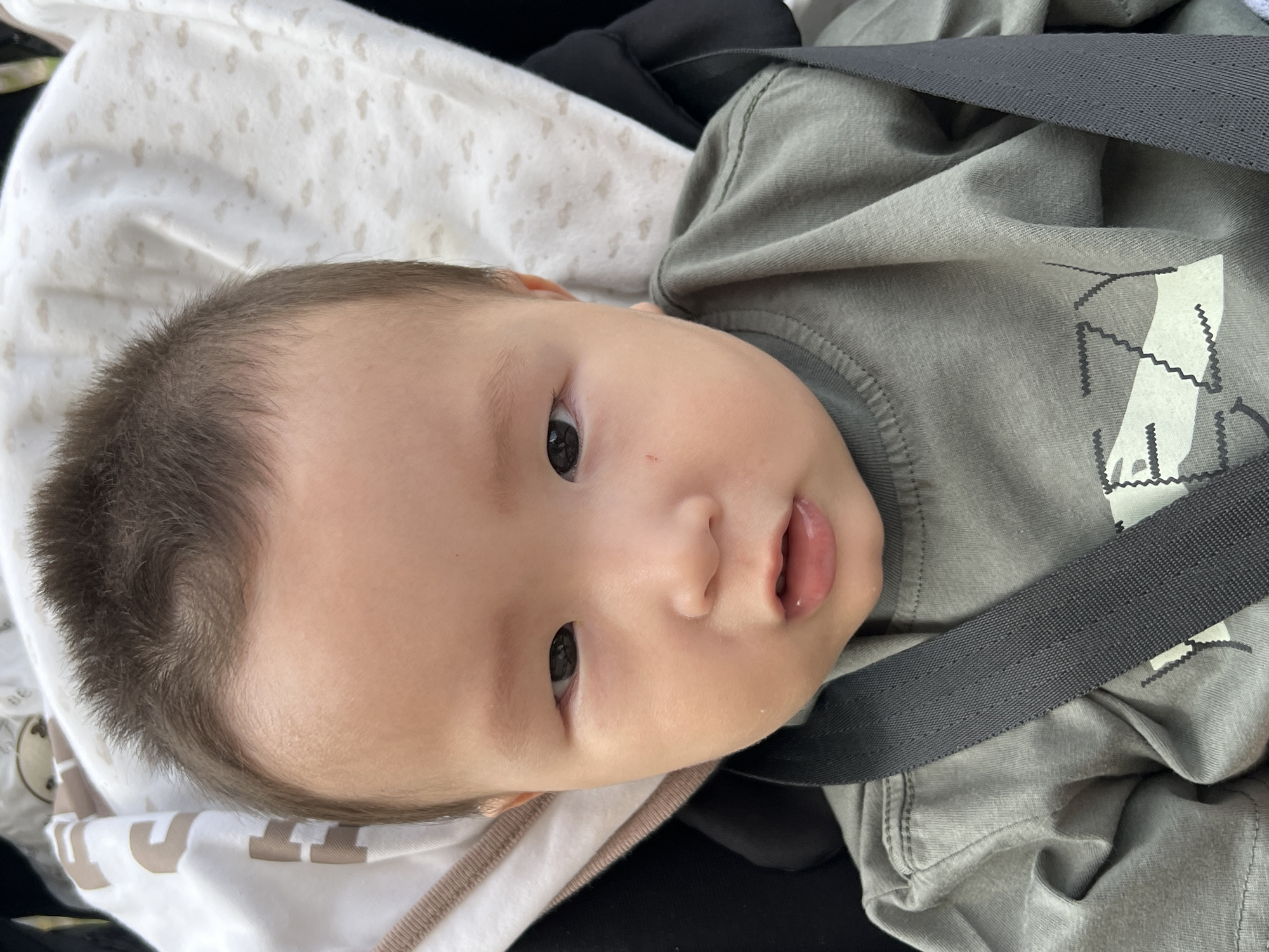 A close-up shot shows a young East Asian baby with dark hair and brown eyes, looking directly at the camera. The baby is wearing a muted green t-shirt and is secured by a dark gray safety harness, suggesting they are in a car seat or stroller. The background is softly blurred, revealing a white blanket with a subtle cloud pattern and a hint of brown trim. The lighting appears to be natural daylight. The setting is an indoor environment, possibly a vehicle or a domestic space, and cannot be definitively placed within Bishkek City, Kyrgyzstan based solely on the visual information.