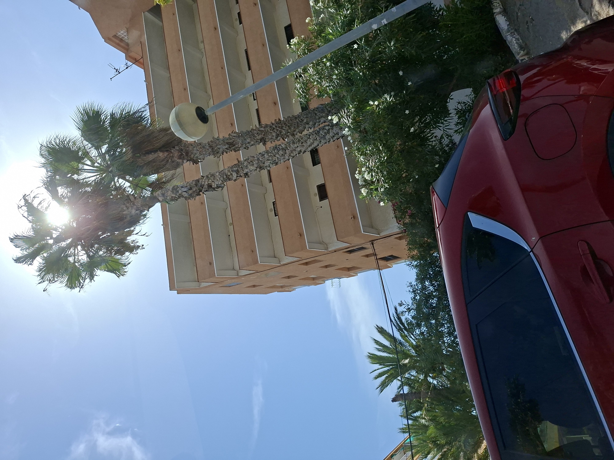The image captures a bright, sunny day in Guardamar del Segura, Spain, as evidenced by the strong sunlight and clear blue sky with a few wispy clouds. A red car, likely a hatchback, is parked in the foreground, with its rear visible and reflecting the environment. The car is angled towards the left of the frame.
Behind the car, a multi-story building with a peach-colored facade and light-colored balconies dominates the mid-ground. The building appears to be residential. Two palm trees with distinct, rough bark stand tall next to the building, their fronds reaching towards the sun. The sun's rays are partially obscured by the palm trees, creating a lens flare effect.
In front of the building and between it and the car, there is dense green foliage with small white flowers, suggesting a well-maintained garden or landscaping. A grey lamppost with a spherical light fixture is positioned to the right of the palm trees, in front of the building. The overall impression is that of a typical Mediterranean urban landscape.