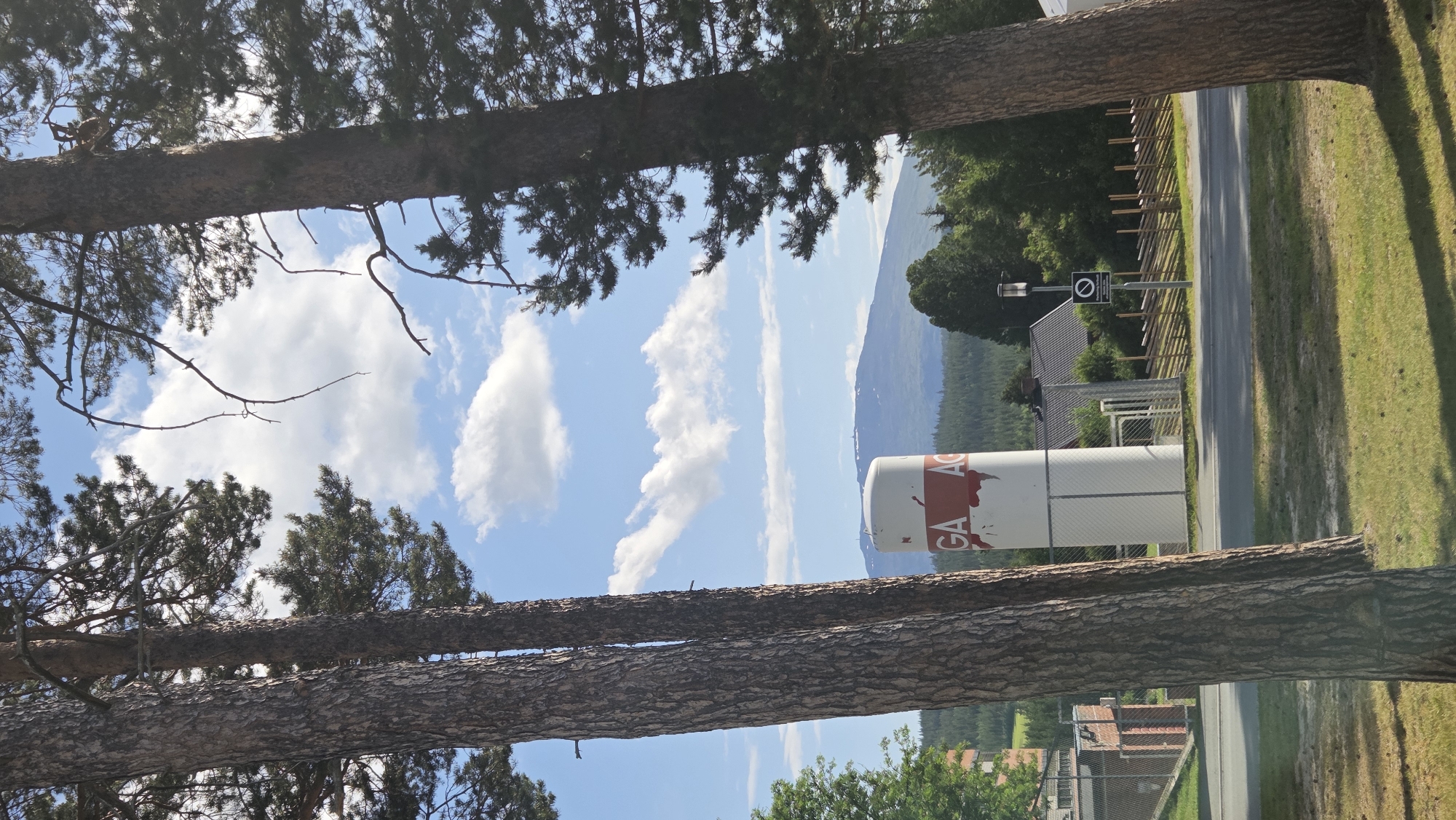 The image depicts a pastoral scene with two large pine trees framing the foreground. Behind the trees, a white cylindrical structure with red markings, possibly a silo or industrial tank, is visible. The structure has the letters "GA AG" painted on it. In the background, a distant mountain range is visible under a sky filled with scattered white clouds. A road runs horizontally across the middle ground, with a fence and some buildings beyond it. The overall setting suggests a rural or semi-rural location, potentially near Tynset, Norway, given the typical landscape and vegetation. There are no people or animals present in the image, and the scene appears calm and uneventful.