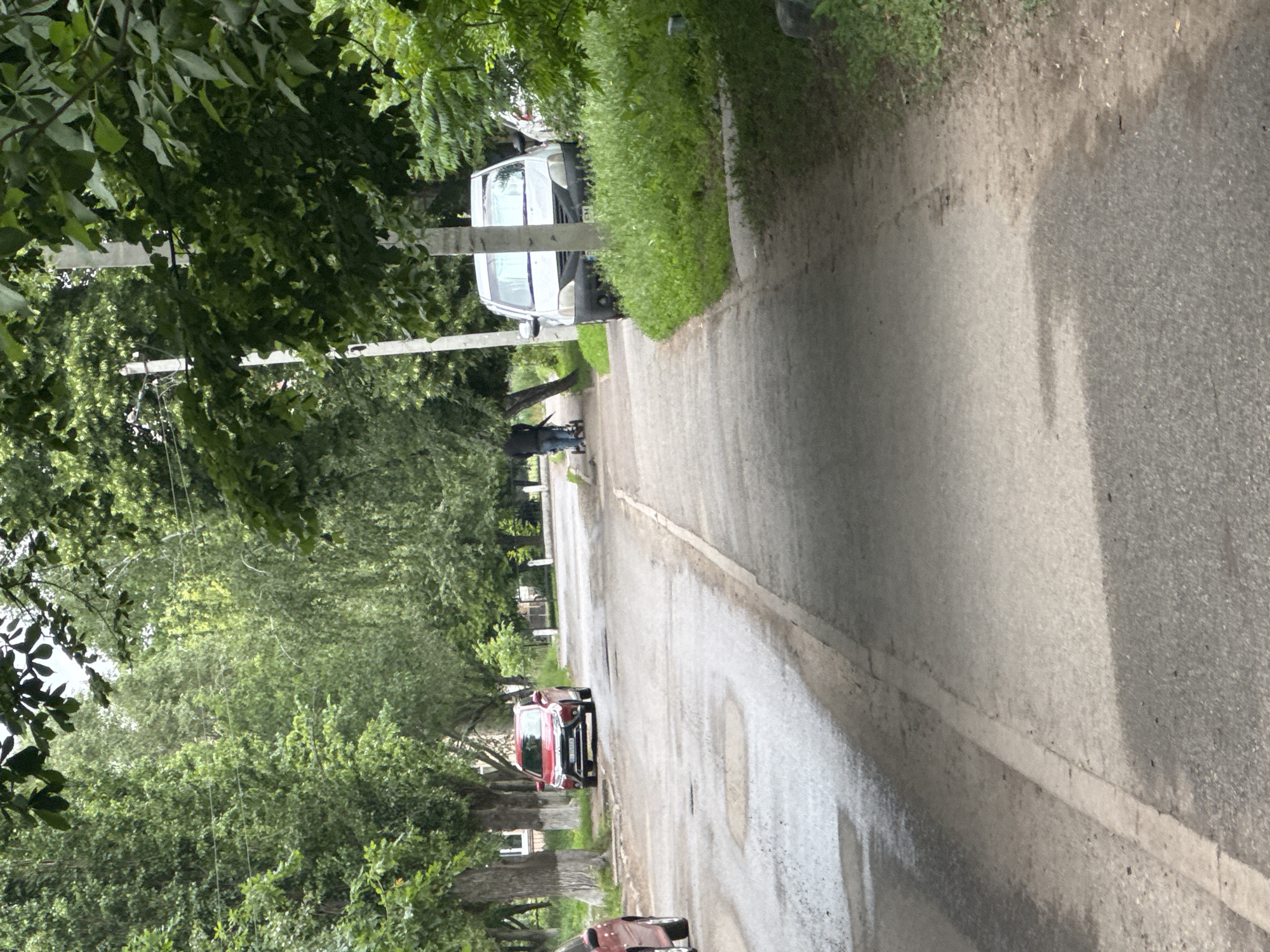 The image displays a quiet, tree-lined street or road viewed during daylight hours, likely with an overcast sky or soft lighting. The paved road appears somewhat worn and has damp patches, possibly indicating recent rain. On the left side of the road, large green trees form a dense canopy overhead and line the street, interspersed with utility poles carrying power lines.
A white van is parked on the left side of the road, partially obscured by a utility pole and foliage. A person, dressed in dark clothing, is visible standing near the front driver's side of the white van. Further down the street, a red passenger car is also parked on the left. The front bumper of another dark-colored vehicle is partially visible in the immediate foreground on the bottom left. The right side of the road features a grassy verge.
Notable details include the white van's license plate, which shows "EM 73" followed by obscured characters, and the red car's license plate, which begins with "07" and ends with "B", with the middle digits unreadable. No discernible activity beyond parked vehicles and a person standing near one of them is taking place. The setting suggests a residential or semi-rural area characterized by greenery and infrastructure.