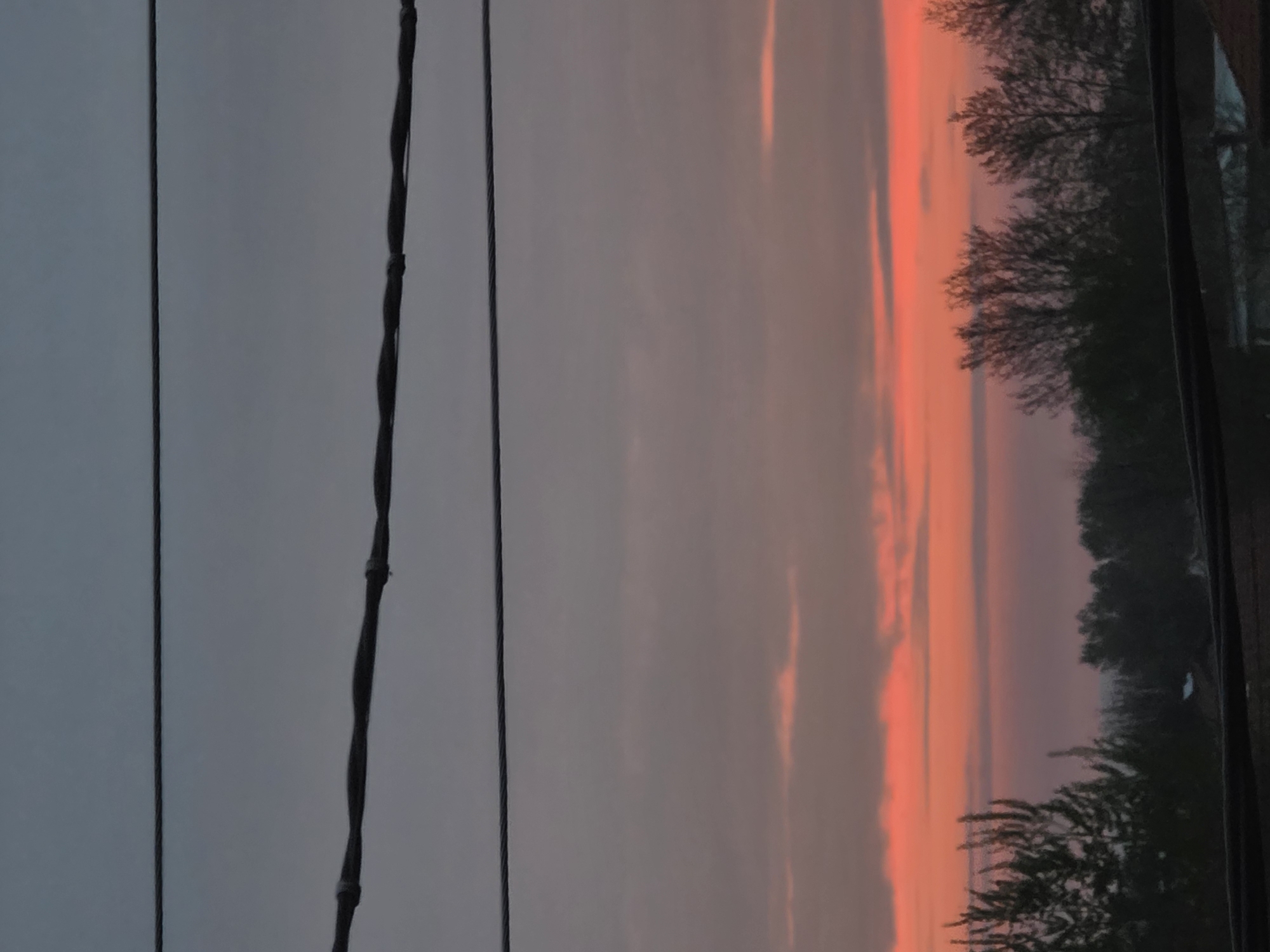 The image shows a sunset sky, with vibrant orange and pink hues, visible through a window. Trees can be seen in silhouette against the colored sky. In the foreground, outside the window, there are power lines against a gray sky, indicating an urban or suburban setting. The location in Yagodovo, Bulgaria is implied, but not explicitly shown.