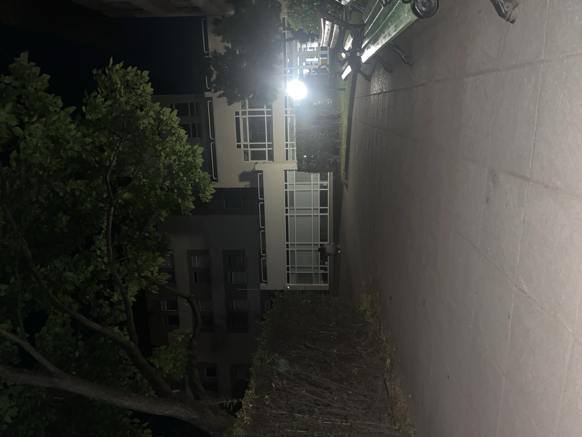 A nighttime shot oriented vertically depicts a walkway leading to a building with large windows. To the left, a tree with dense foliage partially obscures the view of the building. A streetlight casts a bright glow near the center of the building, creating sharp shadows. The walkway appears to be paved with large, light-colored stones and runs along the right side of the building. A bench with a dark frame is visible near the top right corner of the image. Based on the architecture and urban layout, this may be taken in Blagoevgrad, Bulgaria.