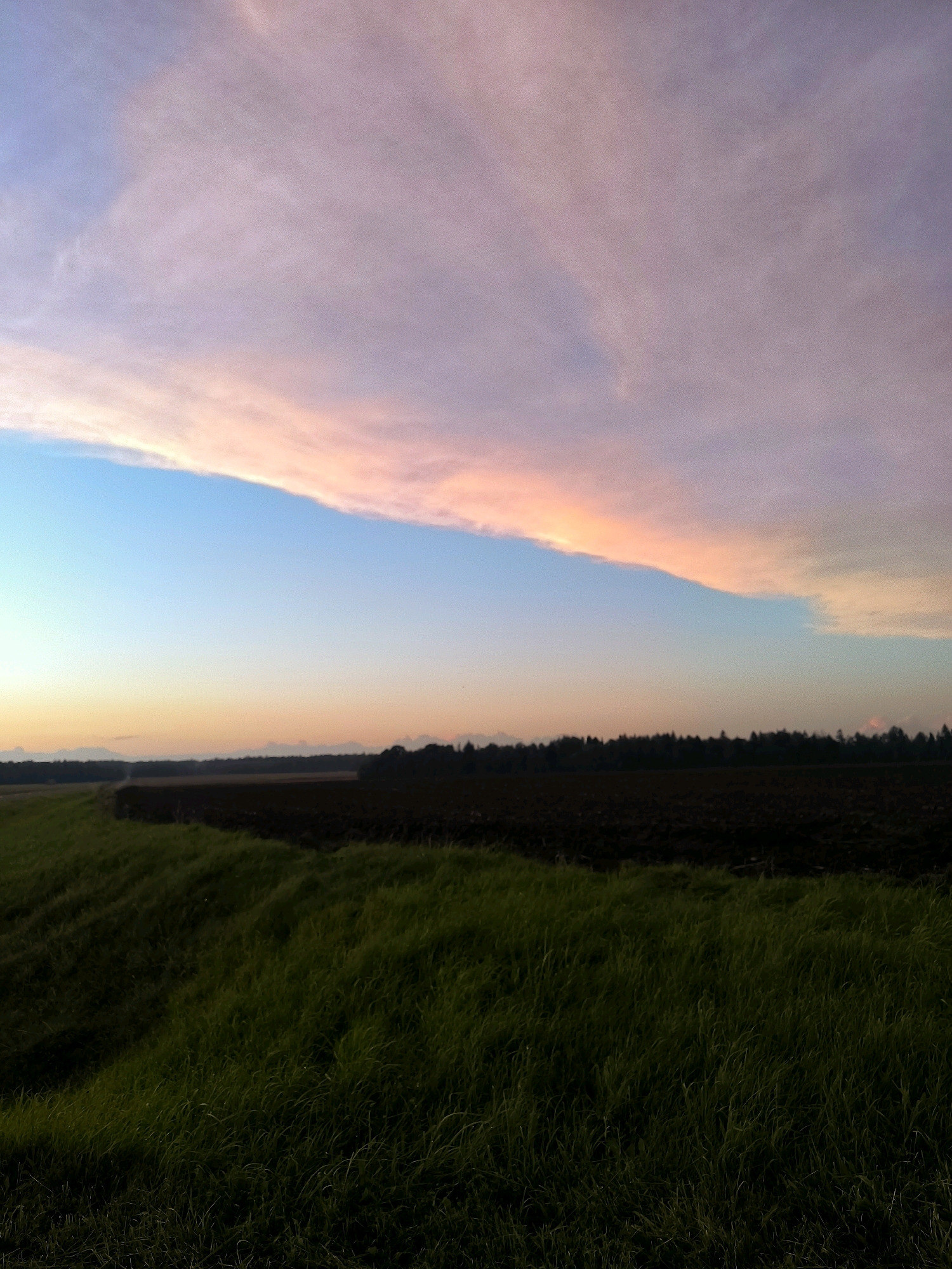 This is a landscape photograph taken at dusk in the vicinity of Tarnowski Rural Council, Belarus. The sky is dominated by wispy clouds, streaked with shades of pink, purple, and blue, indicating the setting sun. Below the sky, a band of pale orange transitions into a clear blue. The horizon is marked by a dark line of trees, suggesting a forest or wooded area. In the foreground, a cultivated field, appearing dark and recently plowed, is visible. Adjacent to this field is an area of lush green grass, which slopes downwards and fills the bottom portion of the frame. The scene is natural and rural, with no people or man-made structures other than the agricultural field.
