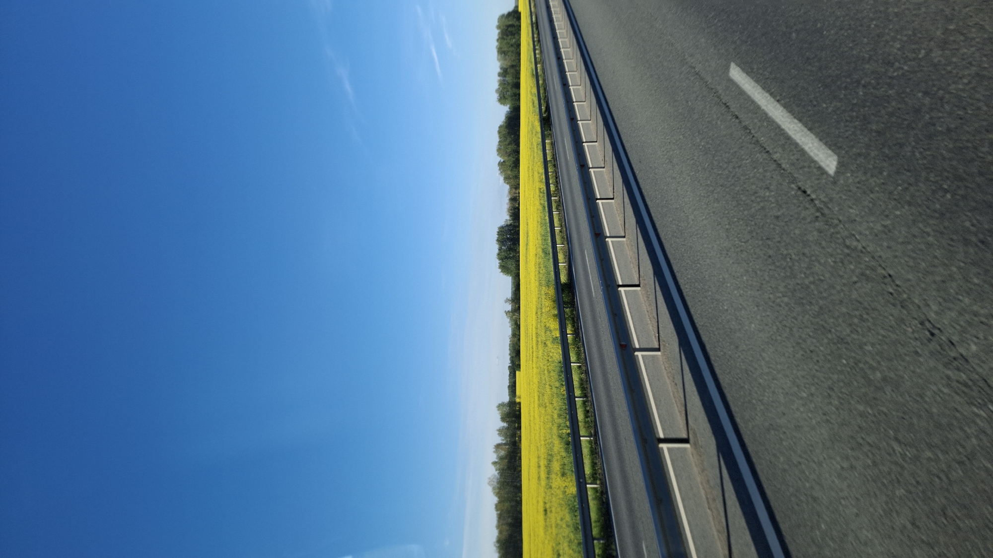 The image depicts a side-view of a road, possibly a highway, with a bright blue sky dominating the left side of the frame. The road itself is asphalt, marked with a white line indicating a lane. To the right of the road, there is a guardrail, and beyond that, a vast field of bright yellow flowers, likely rapeseed, stretches towards a line of trees in the distance. The sun appears to be high in the sky, suggesting it is daytime, and the clear sky indicates fair weather. The scene is a rural landscape, consistent with a location in Russia. There is no visible text in the image.