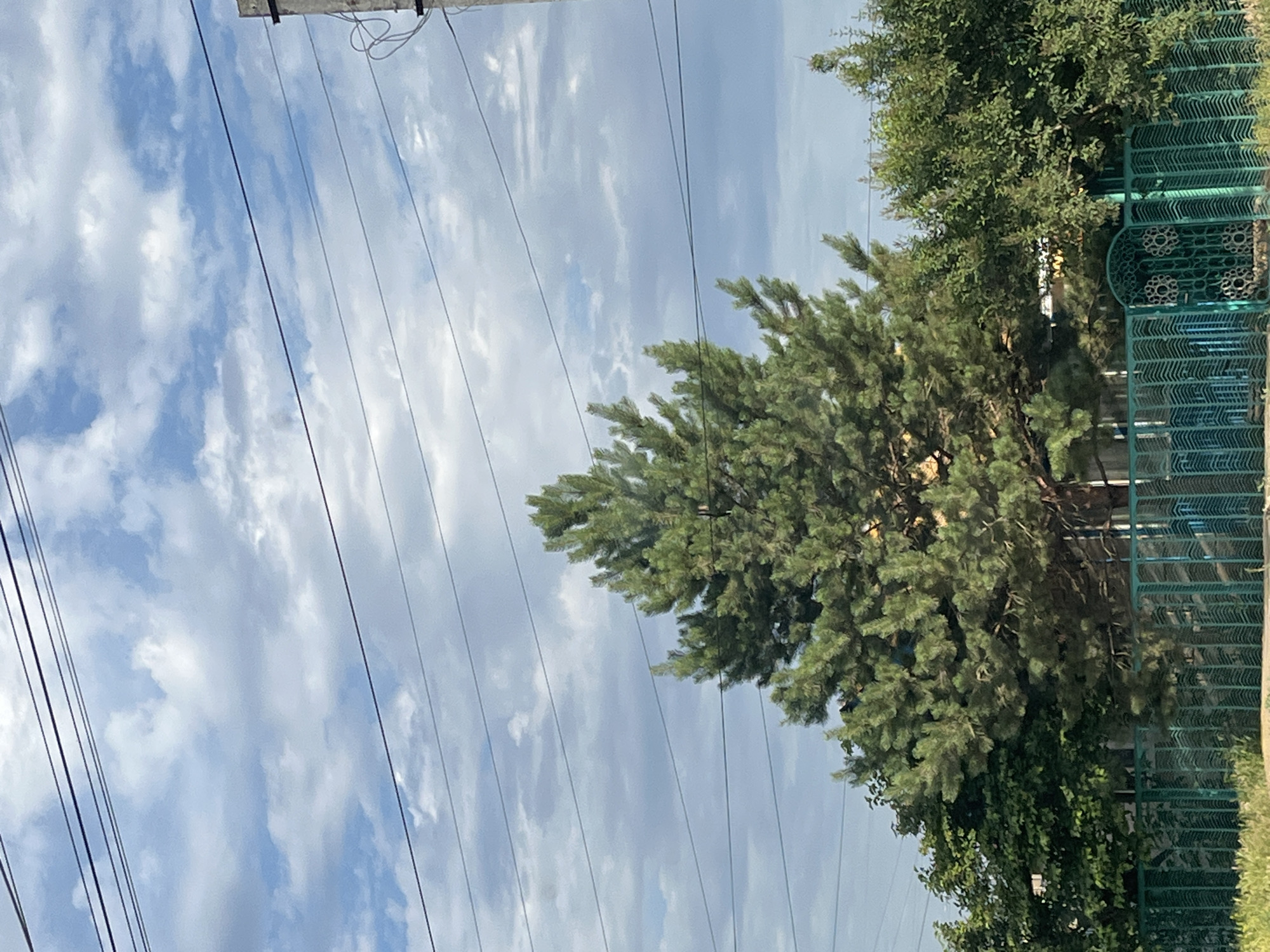 The image depicts a cloudy sky with a few wires running horizontally across the frame. In the foreground, a lush green tree with pine needles dominates the right side of the image. Behind the tree, a green metal fence with a patterned design is visible. The overall scene suggests an outdoor setting, possibly a residential area or park, with power lines overhead. The lighting indicates it's daytime, and the clouds suggest a moderate weather condition. No people or text are visible in the image. The location context of Krasnyye Barrikady, Russia, implies this is a scene from that region.