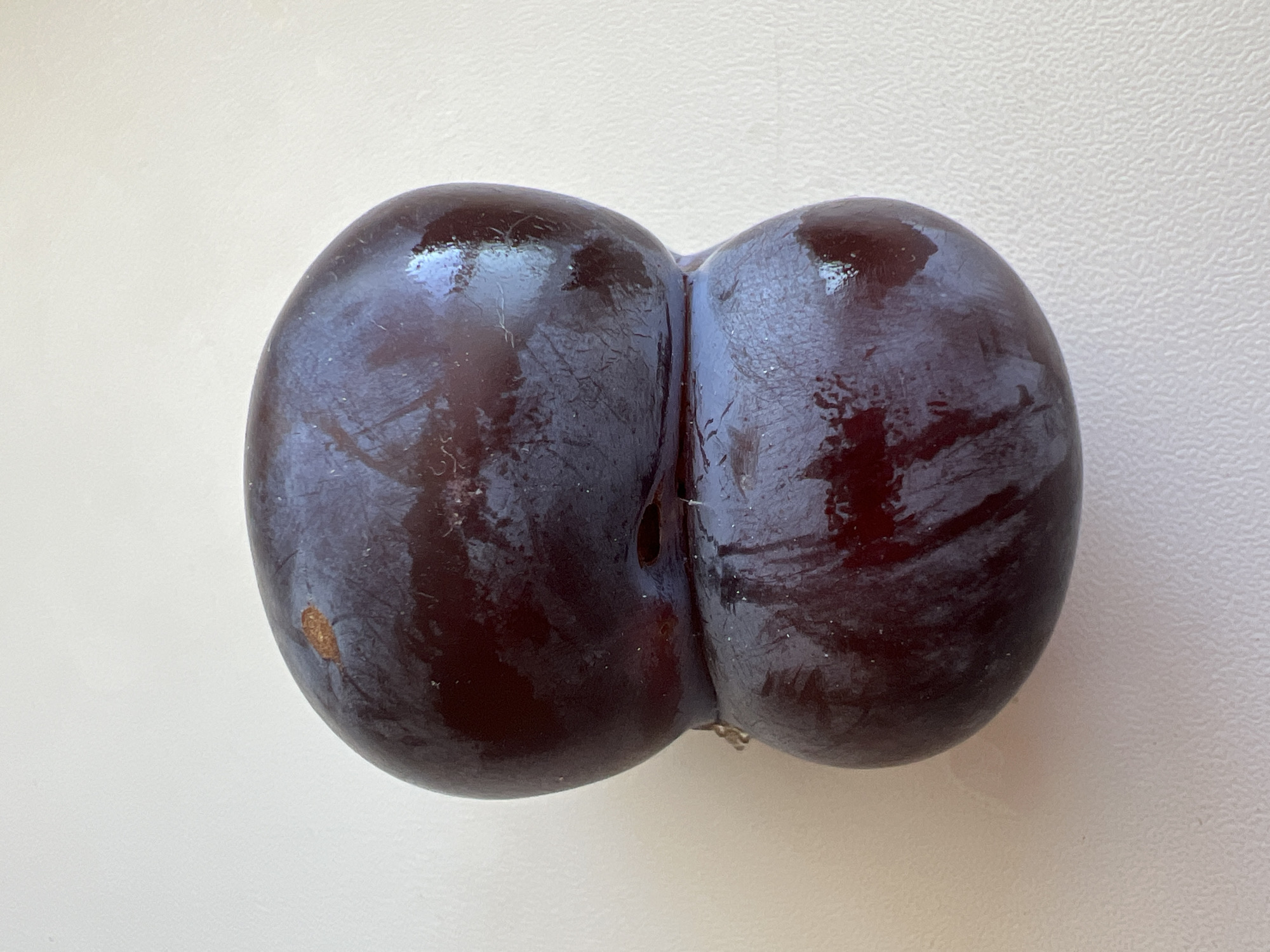 A dark purple plum with an unusual shape, resembling an hourglass or two conjoined spheres, is presented against a light-colored, textured background. The plum exhibits a glossy surface with subtle reflections and variations in color, ranging from deep maroon to a lighter, almost blue-purple hue. A small brown blemish is visible on the upper portion of the fruit. The background appears to be a solid surface with a fine, raised pattern. There are no people or other objects in the frame. The lighting suggests a natural light source from the side, creating highlights and shadows on the plum. The image is a top-down, close-up shot of the single plum.