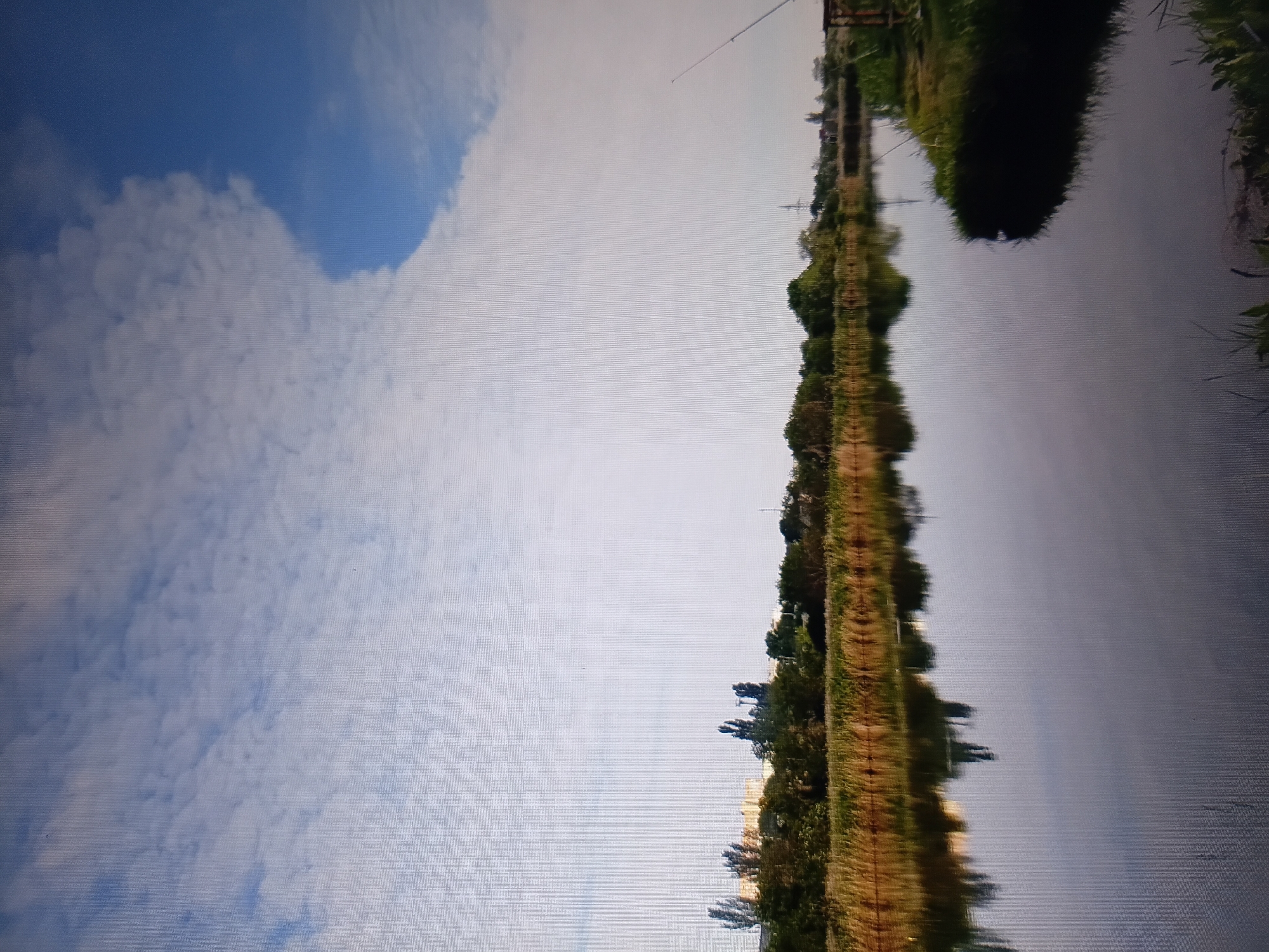 This image depicts a body of water reflecting a line of trees and buildings along the far bank. The sky above is a mix of blue sky and white clouds, with a distinct pattern to the clouds on the left side of the frame. The water is calm, creating a clear reflection of the vegetation and structures on the opposite shore. On the right side of the water, there is a grassy bank with some reeds and what appears to be a wooden structure, possibly a fishing platform, with a fishing rod visible. The scene suggests a natural or semi-natural environment, likely a park or a recreational area by the water. Given the prompt's specific request for a location in Tiraspol, Moldova, this could be a scene along the Dniester River or a smaller lake within the city.