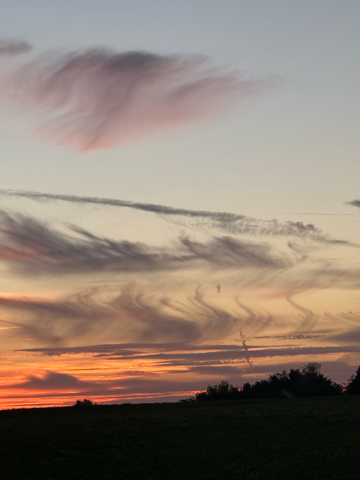 The image shows a sunset with colorful clouds over a silhouetted landscape. In the foreground, a dark green field stretches across the bottom of the frame. A line of trees and shrubs forms a dark silhouette along the horizon, with a few taller trees standing out. Above the trees, the sky is filled with a dramatic display of clouds. The lower portion of the sky, near the horizon, is a vibrant orange and pink, suggesting the setting sun. Higher up, the clouds are a mix of grays, whites, and soft pinks, exhibiting wispy, streaky patterns. A prominent pink cloud formation is visible in the upper left portion of the sky. The overall impression is of a serene and beautiful natural scene.