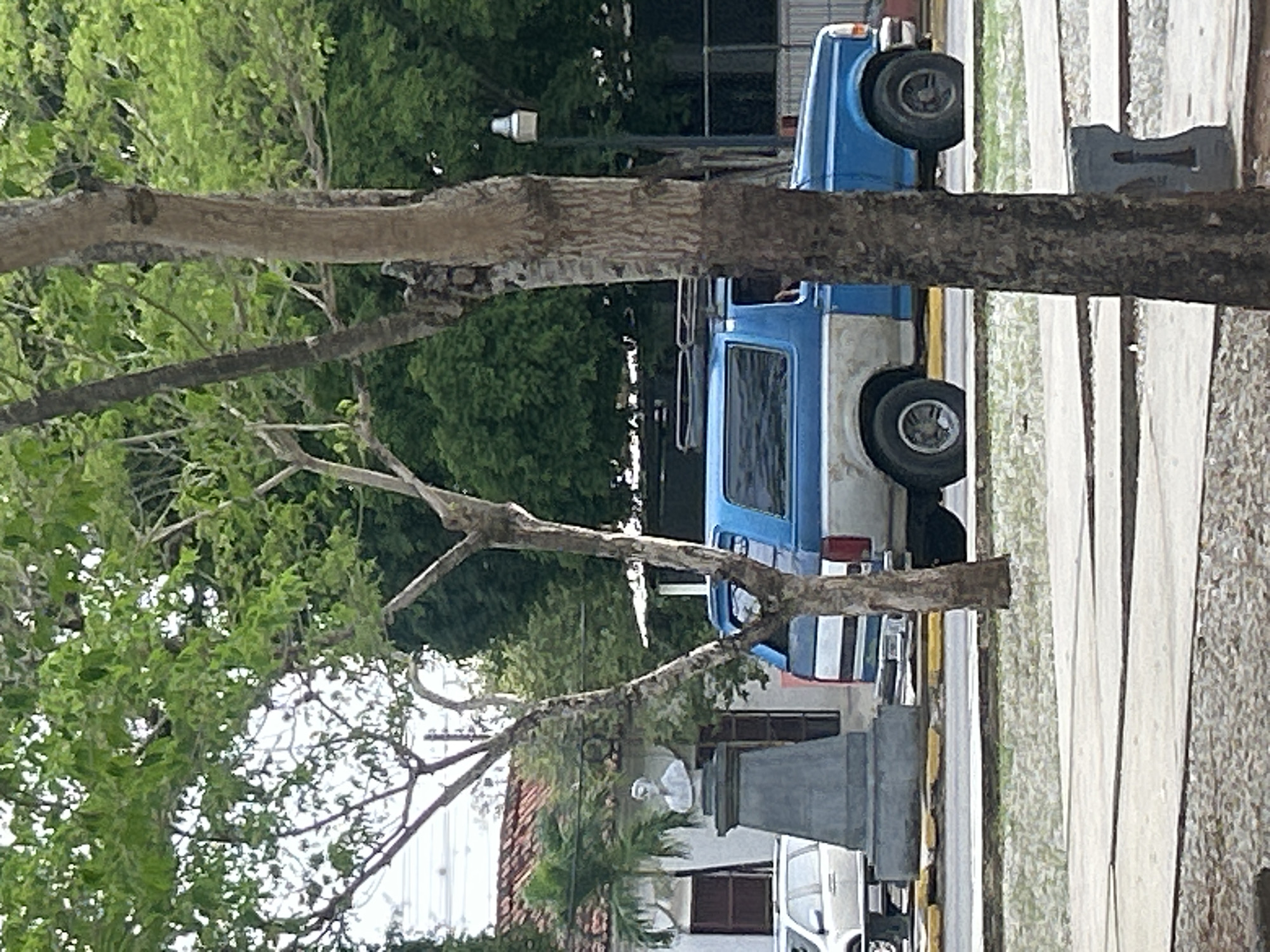 This image shows a blue and silver SUV parked on a street in Santa Ana, Venezuela. The SUV is a two-door model with a roof rack. In the background, there is a building with a red tile roof, a statue on a pedestal, and trees. A white car is parked to the left of the SUV. The street appears to be paved, and there is a sidewalk or walkway in the foreground. The environment is sunny, with green foliage and trees contributing to a natural setting within the urban landscape. The image is taken from a medium distance, capturing the vehicles and surrounding elements.