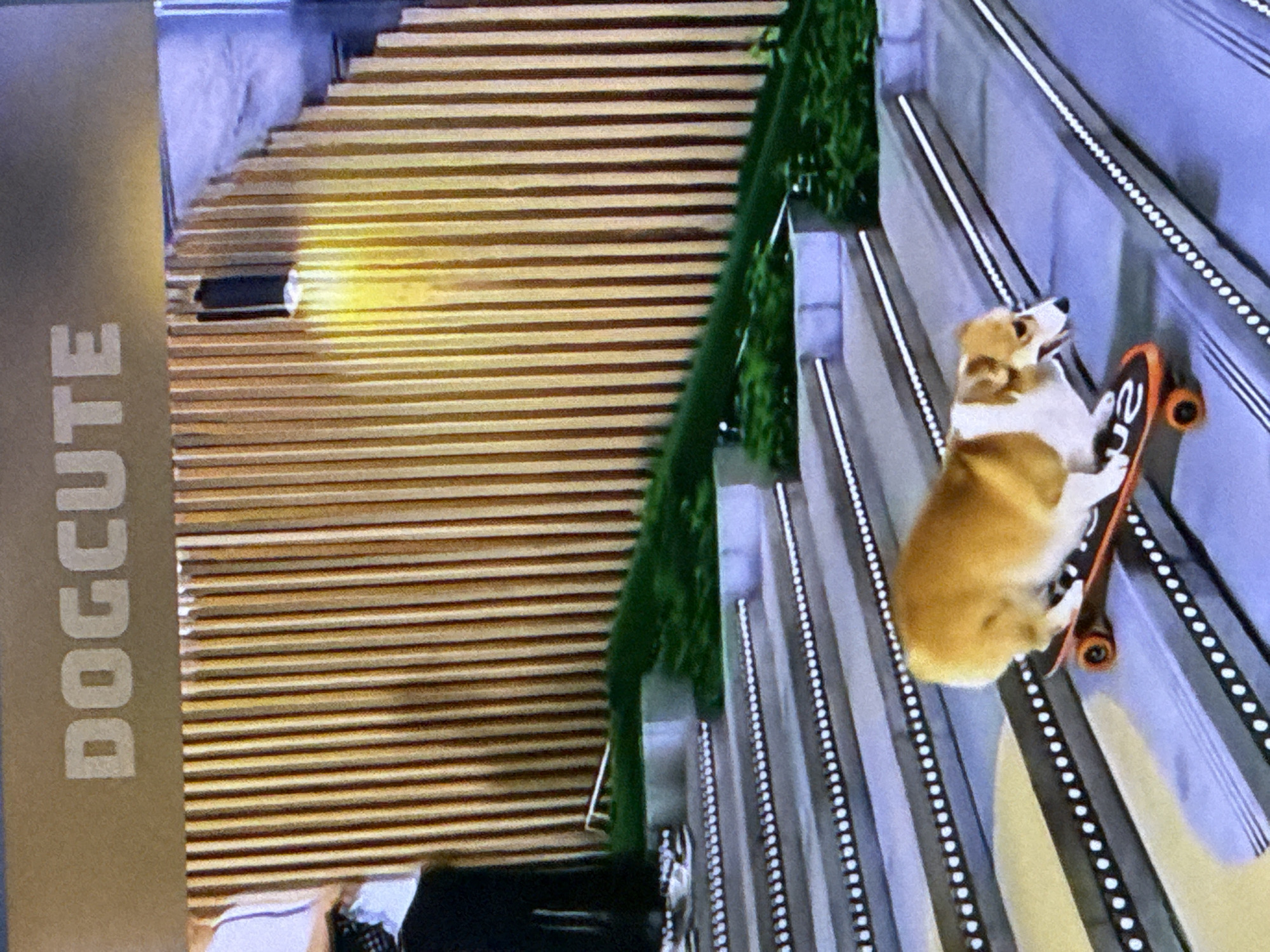 The image shows a corgi dog riding a skateboard down a set of stairs. The stairs have a modern design with lights embedded along the edges. Behind the stairs, there is a wall covered with vertical wooden slats and some greenery. At the top of the image, the word "DOGCUTE" is visible in large, white block letters against a beige background. The scene appears to be indoors or in a covered outdoor area with artificial lighting. This image is not related to the city of Cahul, Moldova.