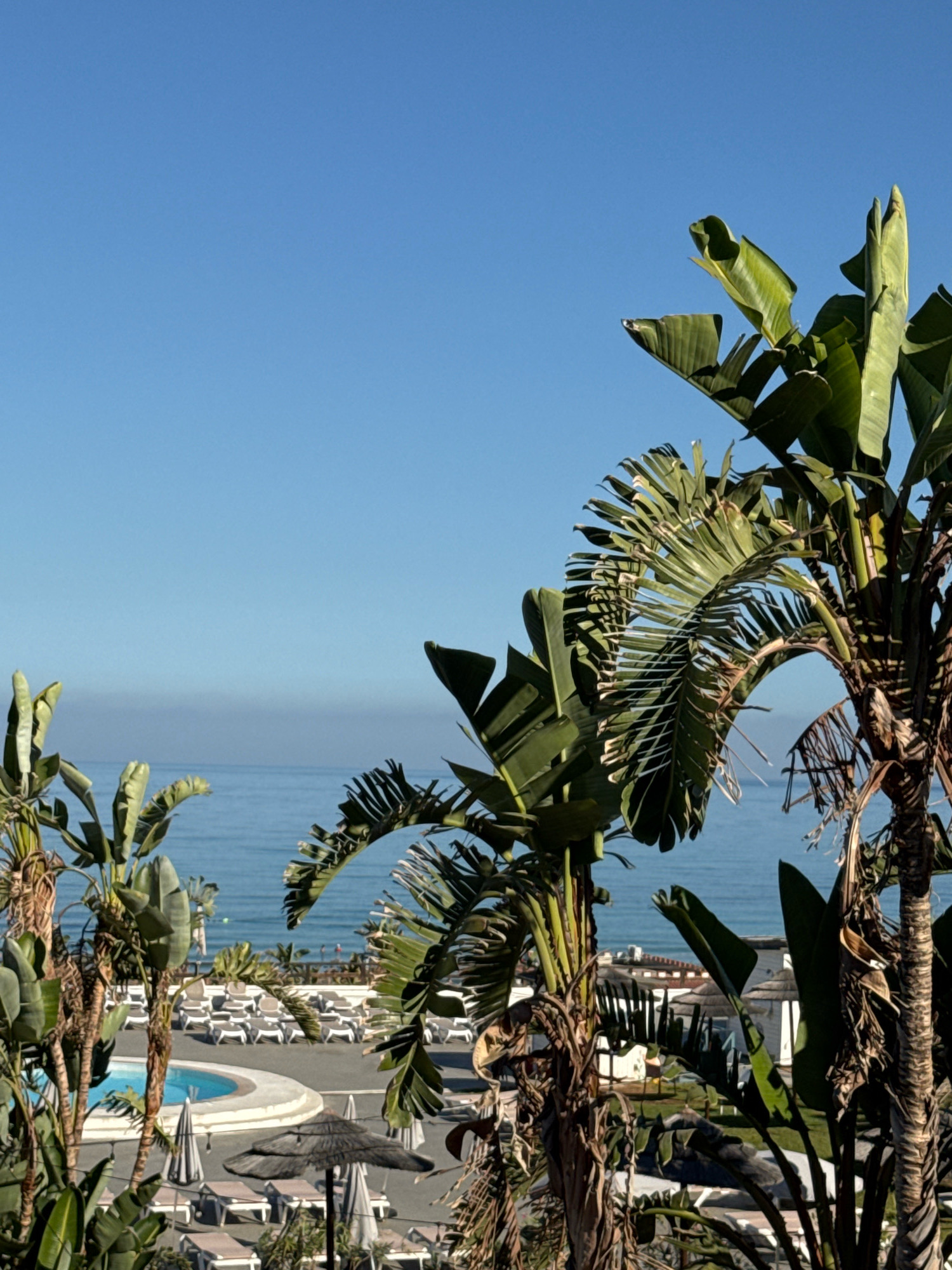 The image captures a serene view of a resort area by the sea. Lush green palm trees with large leaves dominate the foreground, framing a picturesque scene. In the middle ground, a bright blue swimming pool with curved edges is visible, surrounded by rows of empty lounge chairs and straw umbrellas, suggesting a quiet, possibly early morning or late afternoon setting. Beyond the pool area, a section of buildings with white walls and thatched roofs hints at accommodations. The background is composed of the calm, light blue sea meeting a hazy horizon under a clear, expansive blue sky. The overall atmosphere is tranquil and suggests a tropical or Mediterranean vacation destination. The location is Isola delle Femmine, Italy, a coastal town known for its beautiful beaches and clear waters, which aligns with the visual elements presented. No people are prominently featured in the image, enhancing the sense of peaceful solitude.