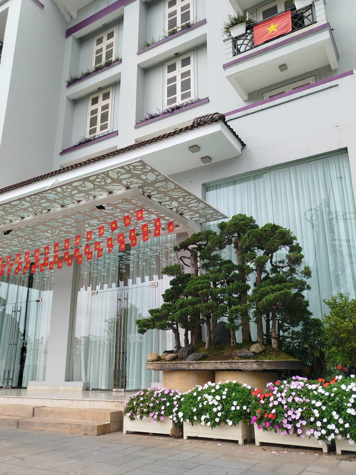 The image depicts the entrance of a building, likely a hotel or a commercial establishment, in Da Lat, Vietnam. The facade is painted in a light gray color with purple accents around the windows and balconies. Several windows with white shutters are visible on the upper floors. A balcony on the right side of the building displays a Vietnamese flag.
In front of the building's entrance, a large potted bonsai tree is prominently featured. The bonsai is substantial in size, with multiple trunks and branches covered in green foliage. It sits in a rectangular planter, which is adorned with rocks. In front of the bonsai, a row of white planters overflows with blooming flowers in shades of pink and white.
Above the entrance, a translucent canopy is decorated with a string of small red flags, each featuring a yellow star and a hammer and sickle symbol, suggesting a national or political event. Large glass doors with stainless steel handles lead into the building, which is visible through the doors. White sheer curtains cover the interior of the building, creating a soft, diffused light. The walkway and steps leading to the entrance are made of stone. The overall scene suggests a well-maintained and decorated exterior of a building in a city environment.