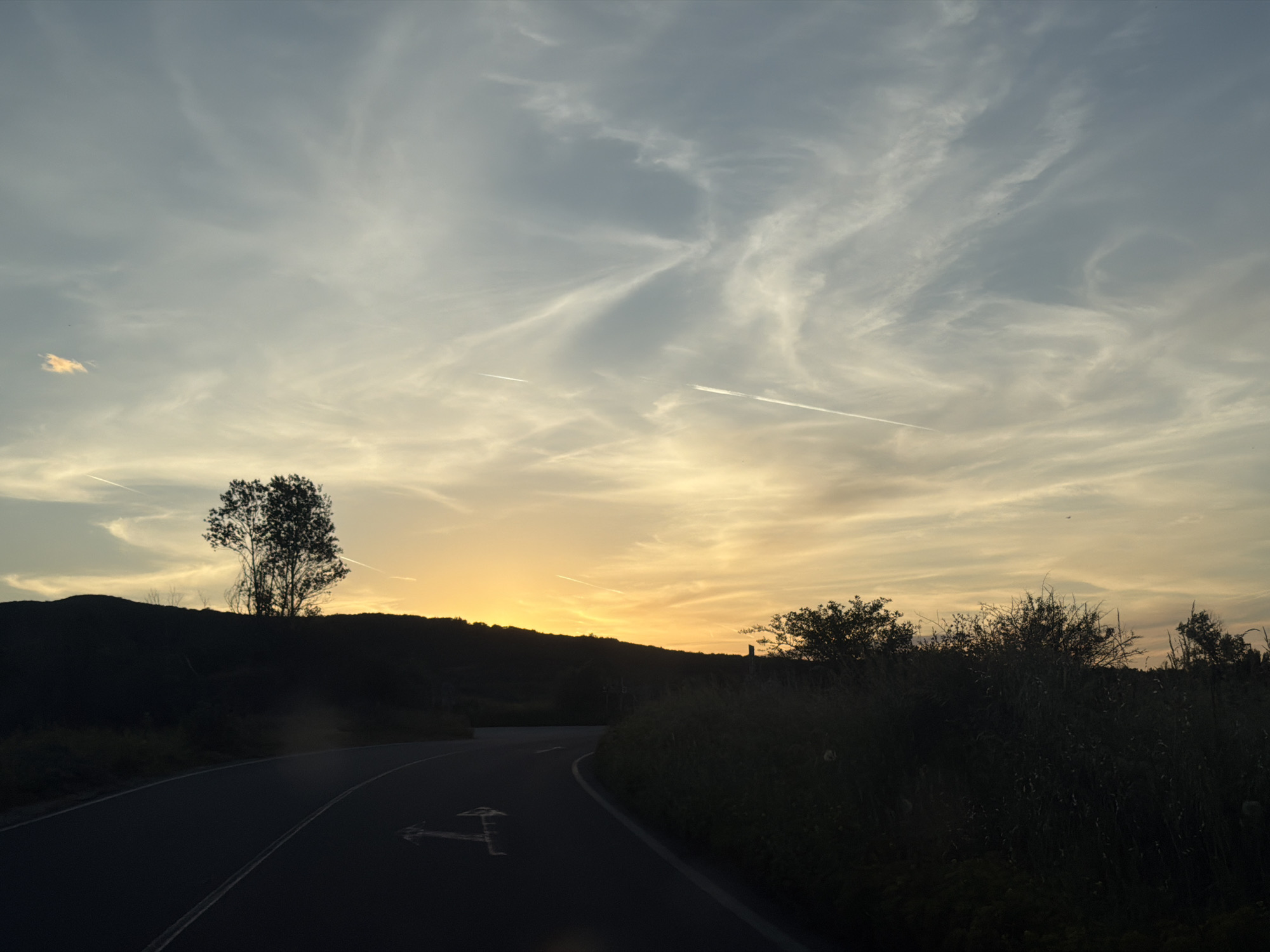 The image depicts a road winding through a rural landscape at sunset near Vinogradets, Bulgaria. The road is paved with an arrow marking indicating a direction. The sun is setting behind a distant hill silhouette, with a single tree to the left. The sky features cirrus clouds and contrails. Vegetation lines the right side of the road. The overall scene evokes a sense of tranquility.