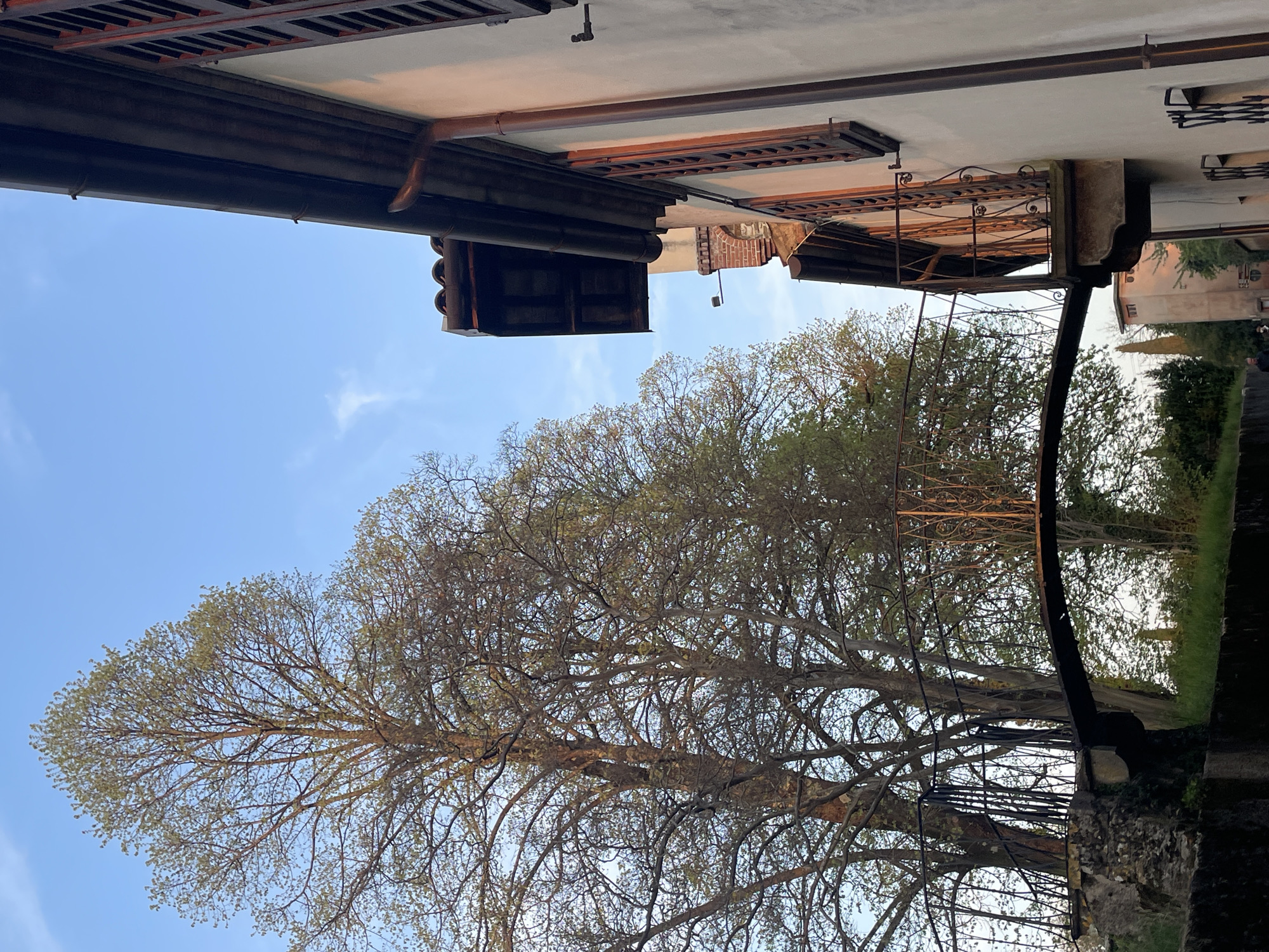 The image shows a view in what appears to be Case / Scjasis, Italy, looking up towards a building and the sky. The building has a detailed roof structure with dark metal accents. A large tree with thin branches and some new leaves is visible in the center, partially obscuring the sky. A dark metal railing can be seen on the right side of the frame. The sky is pale blue with some light cloud cover. The image seems to be taken from below street level.