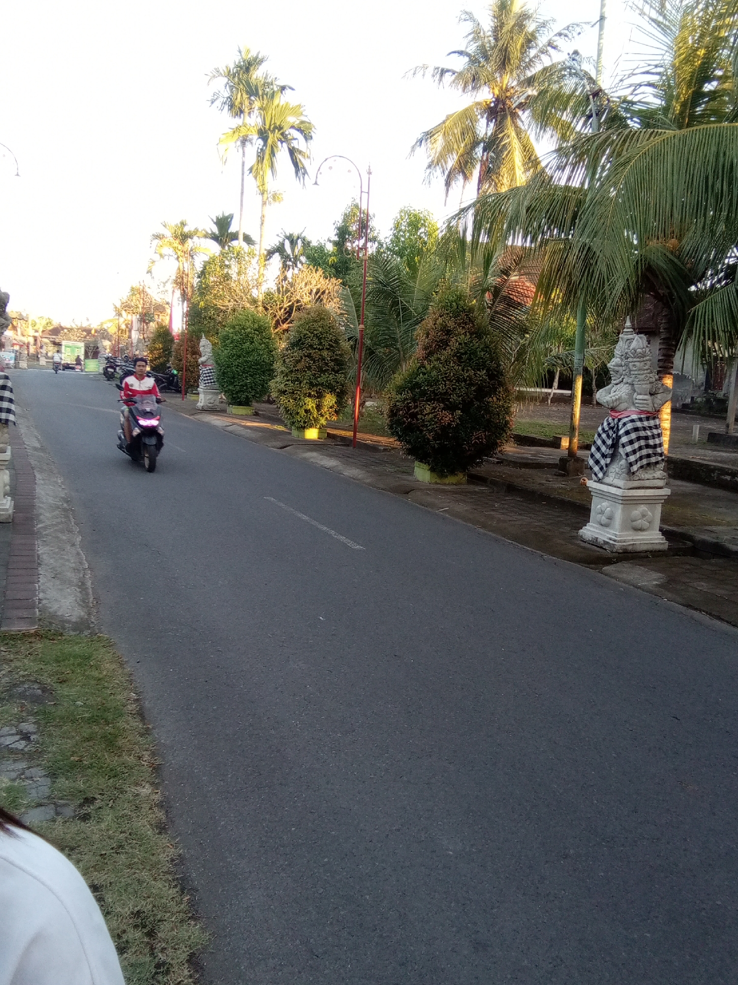 The image depicts a street scene in Sukawati, Indonesia, during daylight. A man wearing a red and white jacket rides a dark-colored scooter on an asphalt road. To the right of the road, there are several palm trees and lush green foliage, as well as a decorative stone statue adorned with a black and white checkered cloth. The statue is positioned on a pedestal. On the left side of the road, there is a sidewalk and more greenery. In the background, buildings and parked motorcycles are visible. The sky is bright, suggesting it is either morning or late afternoon.