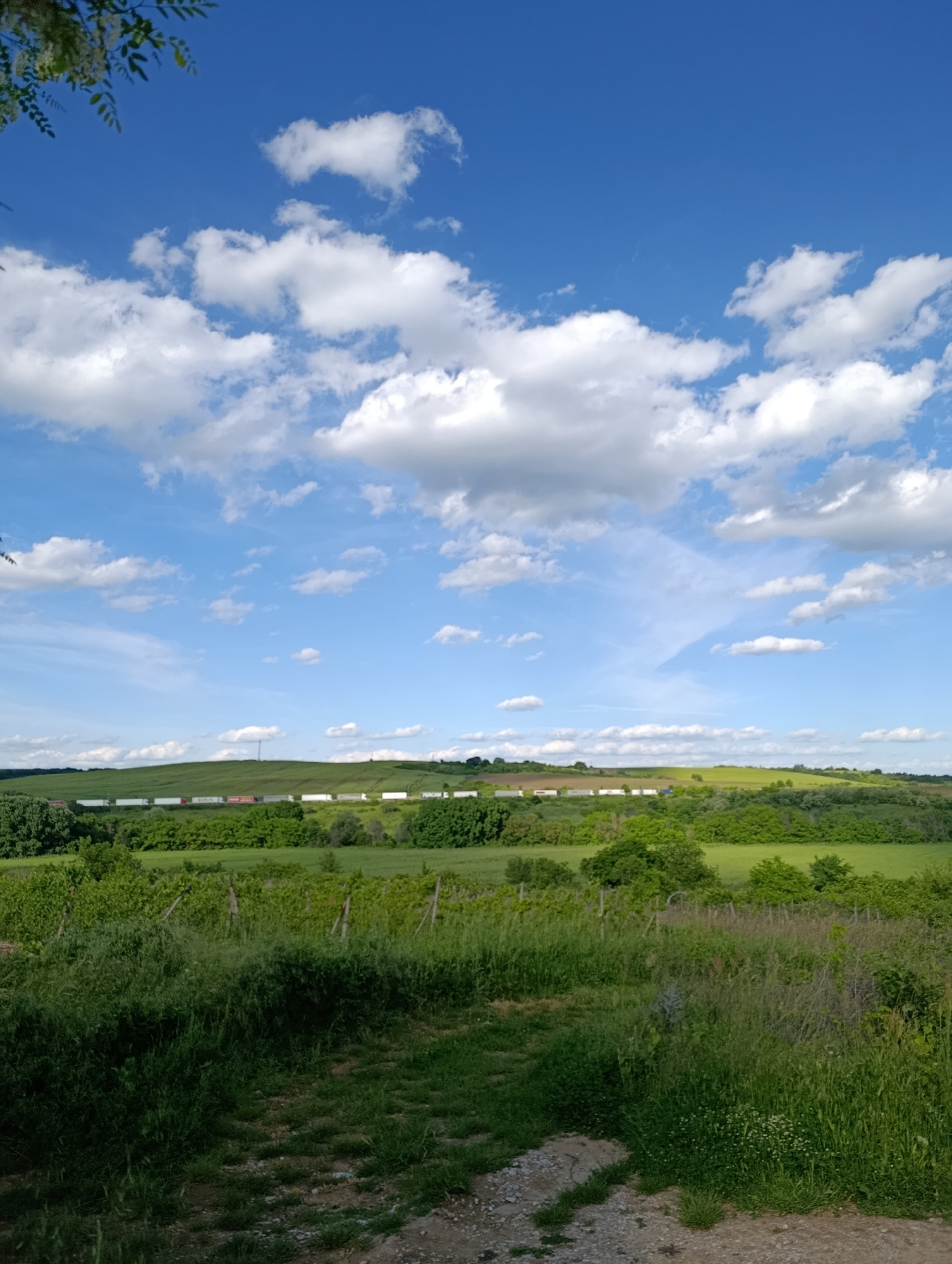The image depicts a rural landscape under a blue sky with scattered white clouds. In the foreground, a dirt path leads through overgrown vegetation, with vineyards visible. Beyond the foreground is a green field and line of trees. On a distant hill are the silhouettes of a long line of trailers. Based on the location of Generalovo, Bulgaria, it is likely a transportation route passing through the landscape. No people or specific actions are apparent in the image.