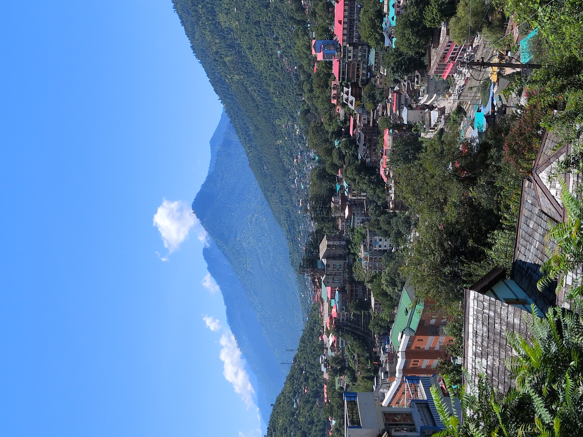The image depicts a panoramic view of the city of Kullu, India, nestled within a valley surrounded by lush, green mountains. The architecture of the city is varied, with many buildings featuring colorful tin roofs, predominantly red and blue, a common characteristic of houses in the region. Some structures have multiple stories and are clustered together, indicating a dense urban area. The foreground is dominated by the roofs of traditional houses, possibly made of slate or stone, and dense foliage from trees and bushes. In the middle ground, the city spreads out with a mix of residential and commercial buildings, roads, and vehicles. Power lines are visible, indicating the presence of infrastructure. The background is characterized by the majestic, tree-covered mountains that rise steeply from the valley floor, with a clear blue sky above. The overall impression is one of a vibrant town integrated with its natural mountainous environment.
