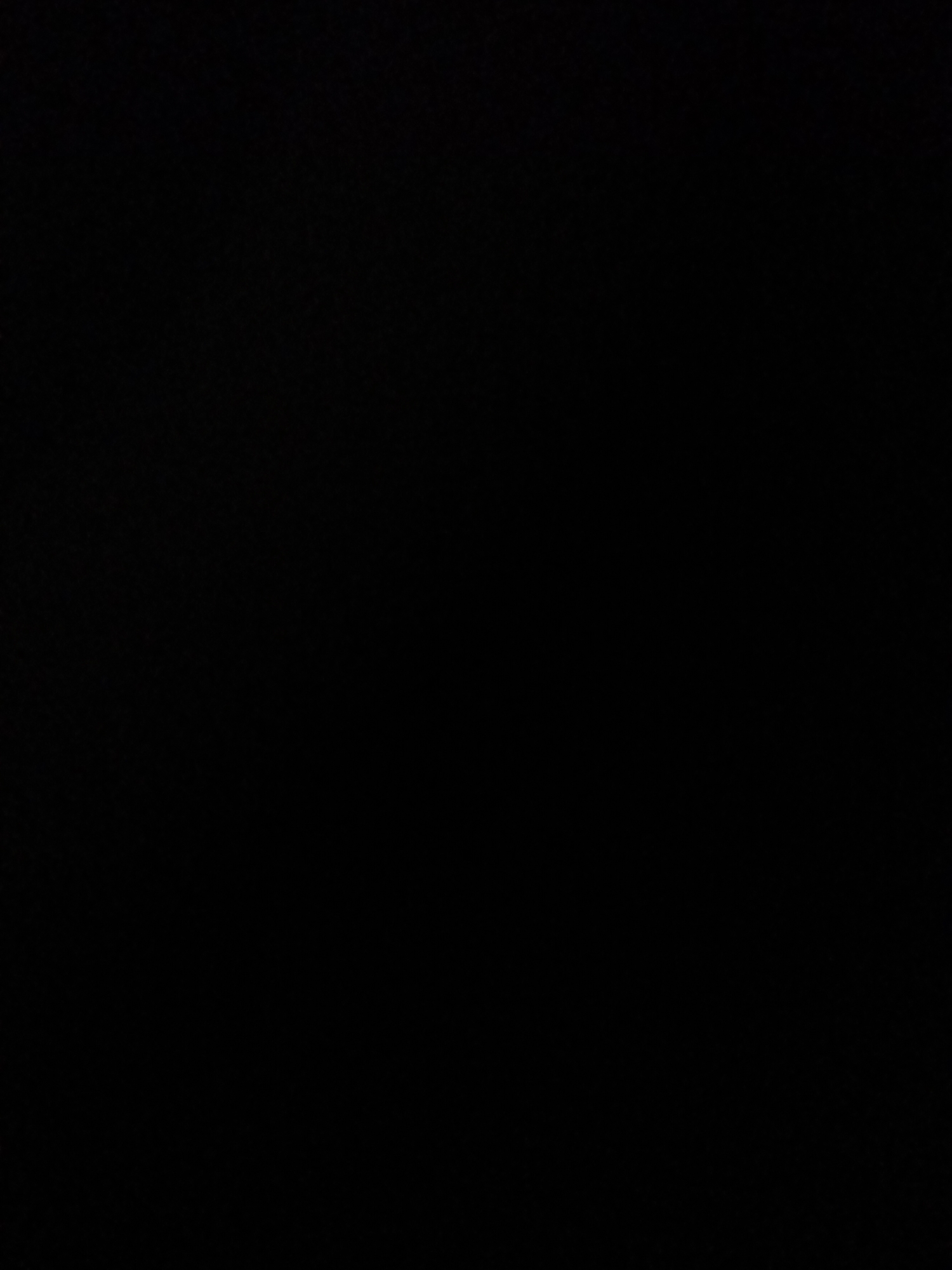 The media file is a completely black image, indicating that no visual information is present or discernible. It is not possible to identify any subjects, activities, or details such as time of day, weather, location cues, or emotions from this file. There is also no visible text.