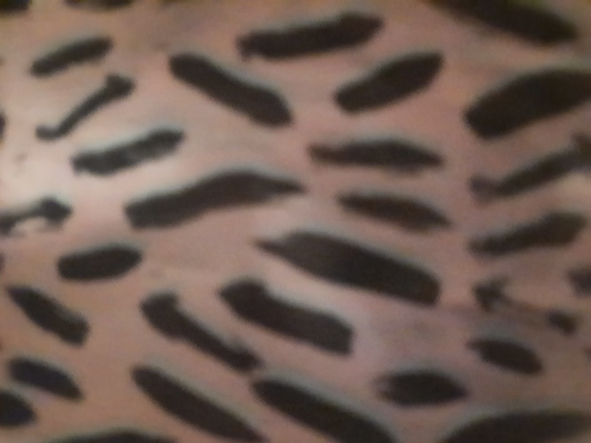 The image is a close-up, abstract pattern of irregular dark shapes on a lighter, mottled background. The dark shapes are elongated and curved, resembling brushstrokes or abstract animal markings. The background color is a blend of light brown and pinkish hues. The image is heavily blurred, making it difficult to discern any specific objects or textures with clarity. There is no discernible location in the city of Rosenheim, Germany, or any contextual information that can be derived from the visual content. The image appears to be a textile or a patterned surface.