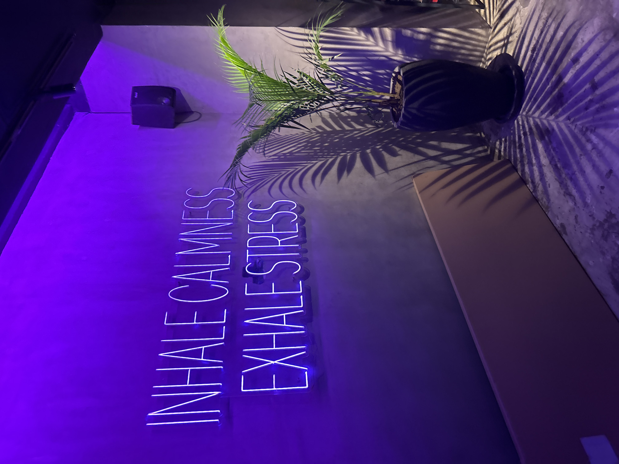 The image shows a wall with a neon sign that reads "INHALE CALMNESS EXHALE STRESS" in a vertical arrangement. To the right of the text, there is a potted palm plant, which casts shadows on the wall and a portion of a wooden surface below. A small, dark, rectangular object is mounted on the wall above the neon sign. The wall is illuminated with a purple light. While the photograph has the hallmarks of a meditative space, the exact location within Kuta Selatan, Indonesia, is not discernible based on the image alone.