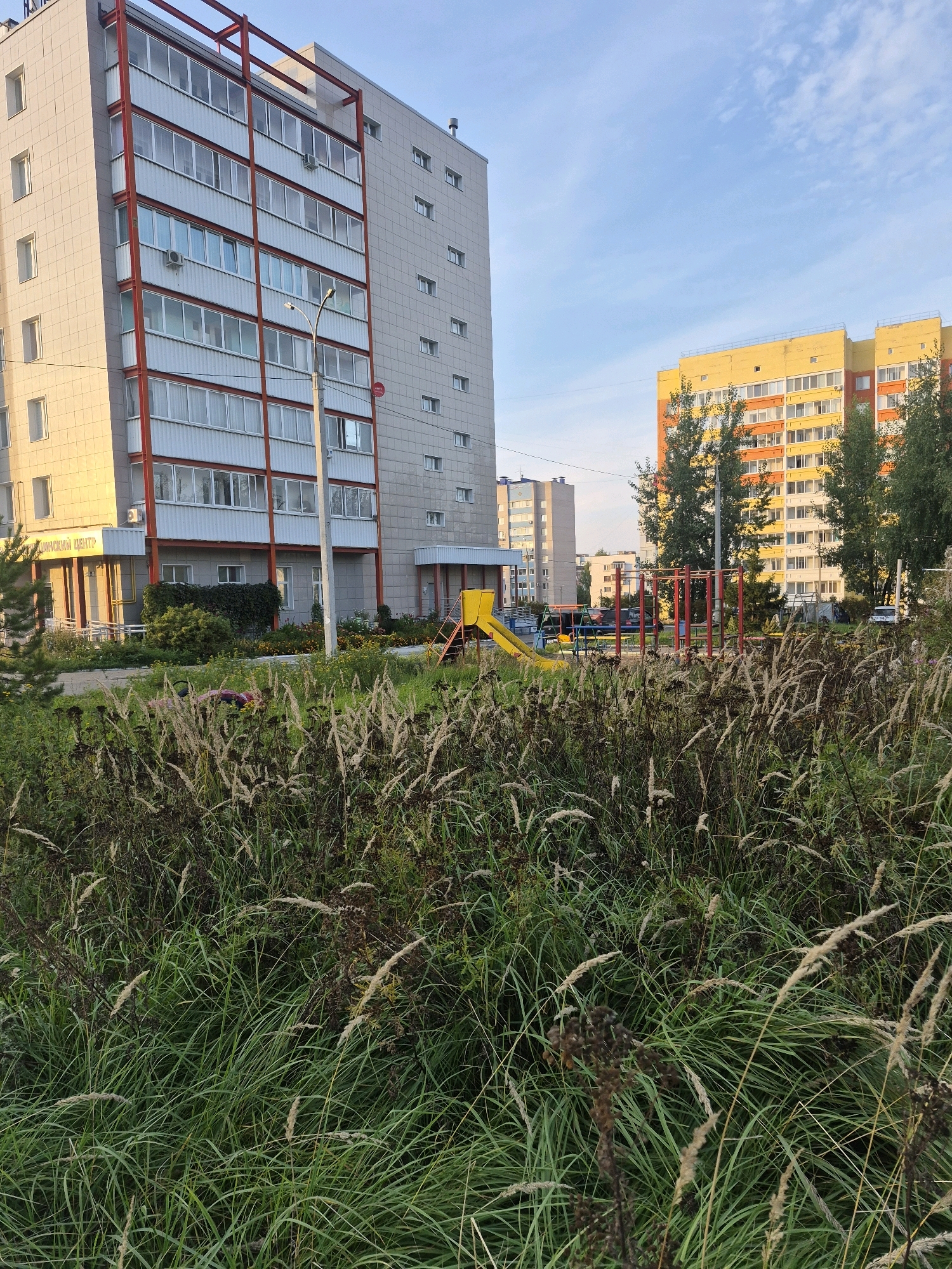 The image shows a residential area in Chaikovsky, Russia, on a clear day with a blue sky and scattered clouds. In the foreground, tall, dry grasses and plants dominate the scene, obscuring much of the lower portion of the image. Behind the grass, a children's playground with a yellow slide and red climbing structures is visible. To the left of the playground is a multi-story apartment building with a light gray facade and red accents around the balconies. A sign with Russian text, which reads "ДИМСКИЙ ЦЕНТР" (Children's Center), is visible on the ground floor of this building. Further to the right, another multi-story apartment building with yellow and orange facades is situated among trees. A street and parked cars are visible between the buildings and the playground.