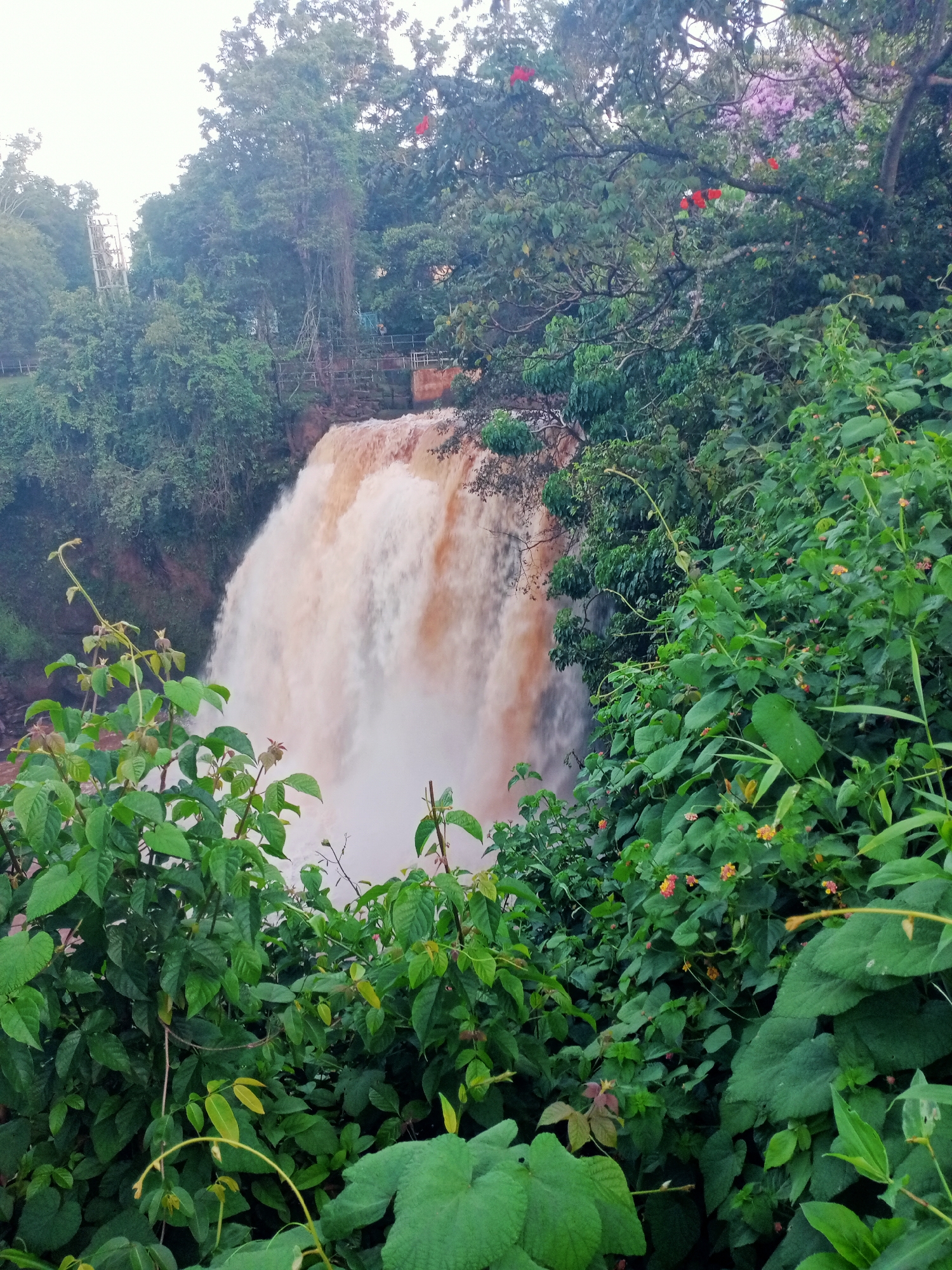 The image depicts a waterfall in a lush, green environment. The water appears muddy brown, suggesting recent rainfall. Dense foliage surrounds the waterfall, obscuring some of it from view. Red and purple flowers are visible in the trees above the falls. A bridge or railing is barely visible above the waterfall through the foliage.