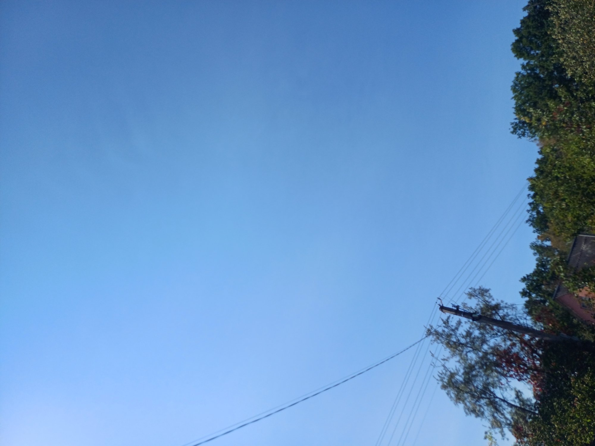 An image taken from a low angle shows a bright blue sky occupying most of the frame. In the bottom left quadrant, a telephone pole with wires is visible, leaning slightly to the right. The wires extend diagonally upwards across the sky. Below the pole and wires, the tops of trees and some foliage are visible, suggesting a wooded or park-like area. A portion of a building with a reddish-brown roof is also partially visible amidst the trees. The scene appears to be outdoors on a clear day.