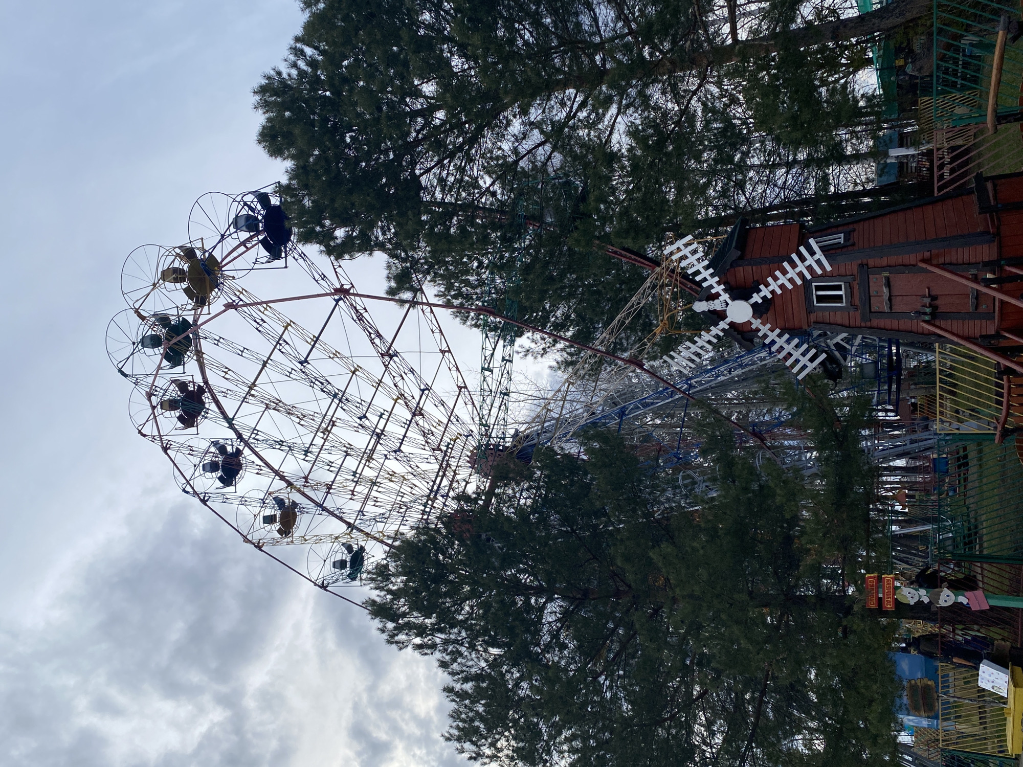 The image captures a large Ferris wheel and other amusement park attractions nestled among dense trees under an overcast sky. The Ferris wheel, angled across the frame, dominates the left side, featuring a complex metal structure with red, blue, and yellow accents. Numerous cabins, some appearing to have occupants, are attached to its spokes.
Tall, coniferous trees with dark green foliage, likely pines, frame the Ferris wheel, obscuring its lower parts and providing a natural backdrop. To the right of the Ferris wheel stands a charming two-story building designed like a windmill, with dark reddish-brown siding, white window frames, and prominent white sails.
In the foreground and around the windmill structure, colorful metal fences and railings in yellow, green, and brown hues define pathways or areas of the park. A signpost near the fence features cartoon characters—a boy and a girl—and two red signs with white text. The upper sign clearly reads "ОТКРЫТО" (OTKRYTO), which means "OPEN" in Russian, while the lower one states "ЧАСЫ РАБОТЫ" (CHASY RABOTY), meaning "HOURS OF OPERATION."
The sky is uniformly cloudy and bright, indicating an overcast daytime setting without direct sunlight. The absence of many people suggests the park might be quiet or in a less busy period. The scene depicts an amusement park in Chaikovsky, Russia, offering a mix of vibrant attractions and natural surroundings.
