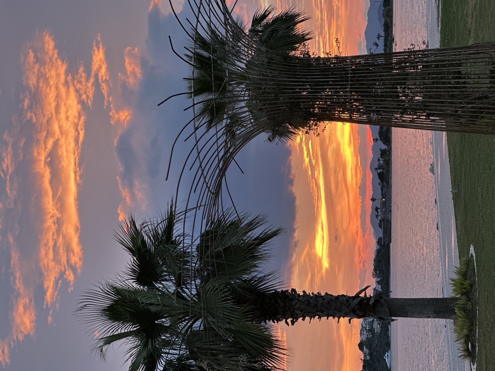 The image shows a sunset scene in Fethiye, Turkey. The sky is filled with orange and pink clouds. In the foreground are two palm trees, one of which is encased in a metal structure. In the background is water and the silhouette of distant mountains.