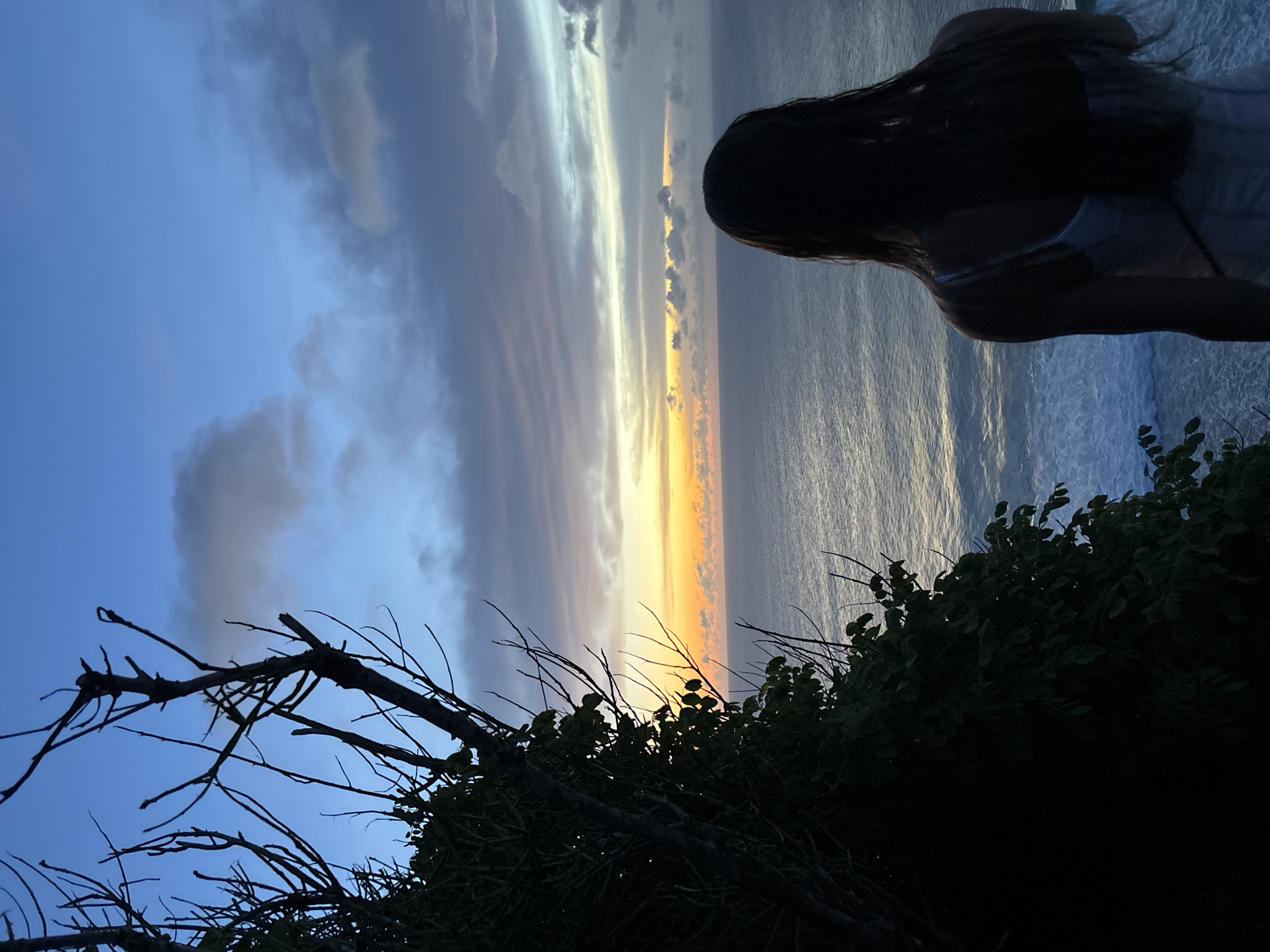 A low-angle, rotated view of the coast in Uluwatu, Indonesia, shows a sunset over the ocean. The sky is composed of dark blue hues blending into orange and yellow near the horizon. A person is standing at the edge of the coast, their back facing the camera. Dark vegetation and some dry branches frame the bottom of the image. The ocean reflects the colors of the sunset.